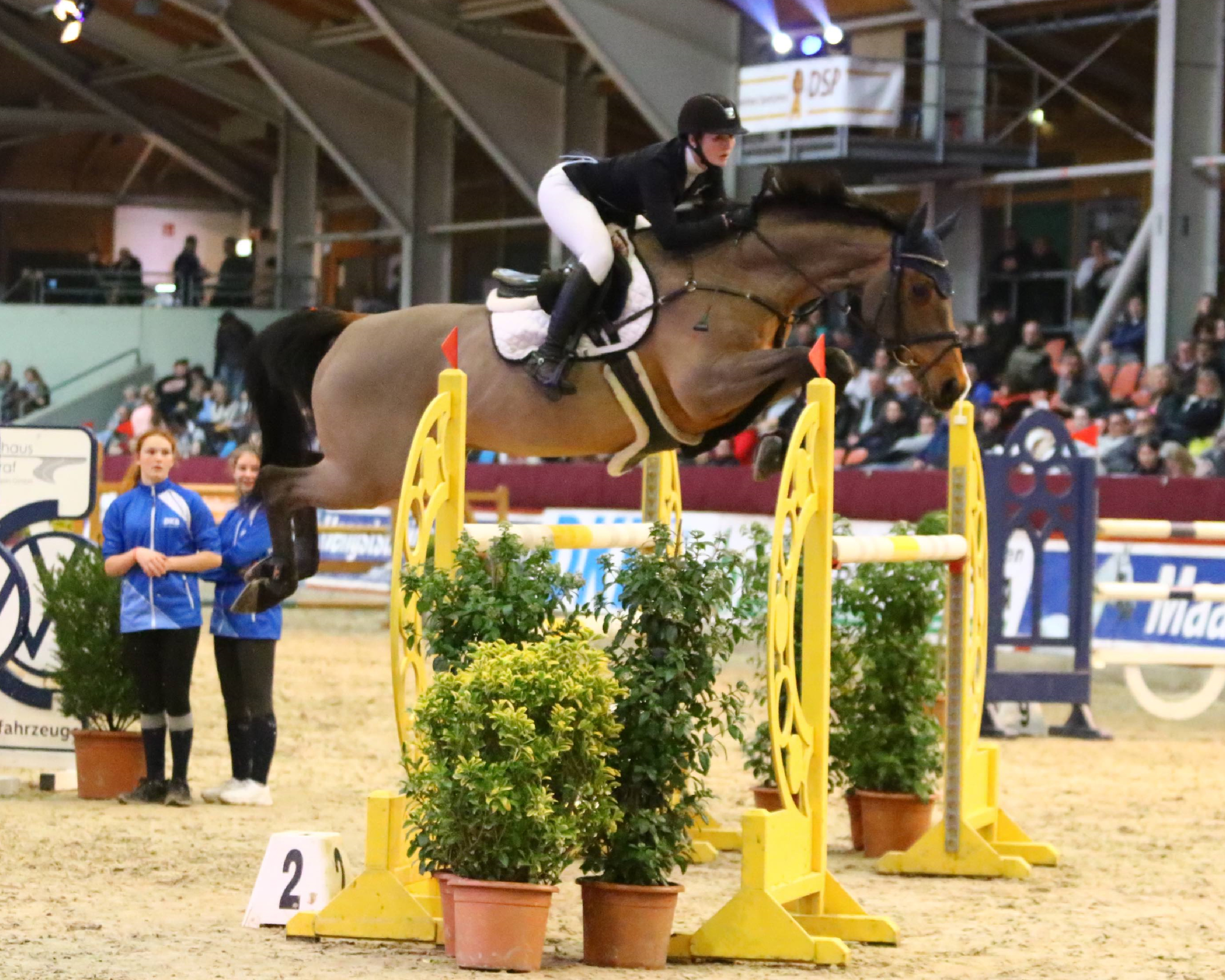 Das 22. CSI Neustadt-Dosse lockt mit internationalem Springsport - hier Laura Jane Hackbarth mit Carisma - und erstmals mit der Hengstkörung am gleichen Wochenende in die Graf-von-Lindenau-Halle. © B.Placek