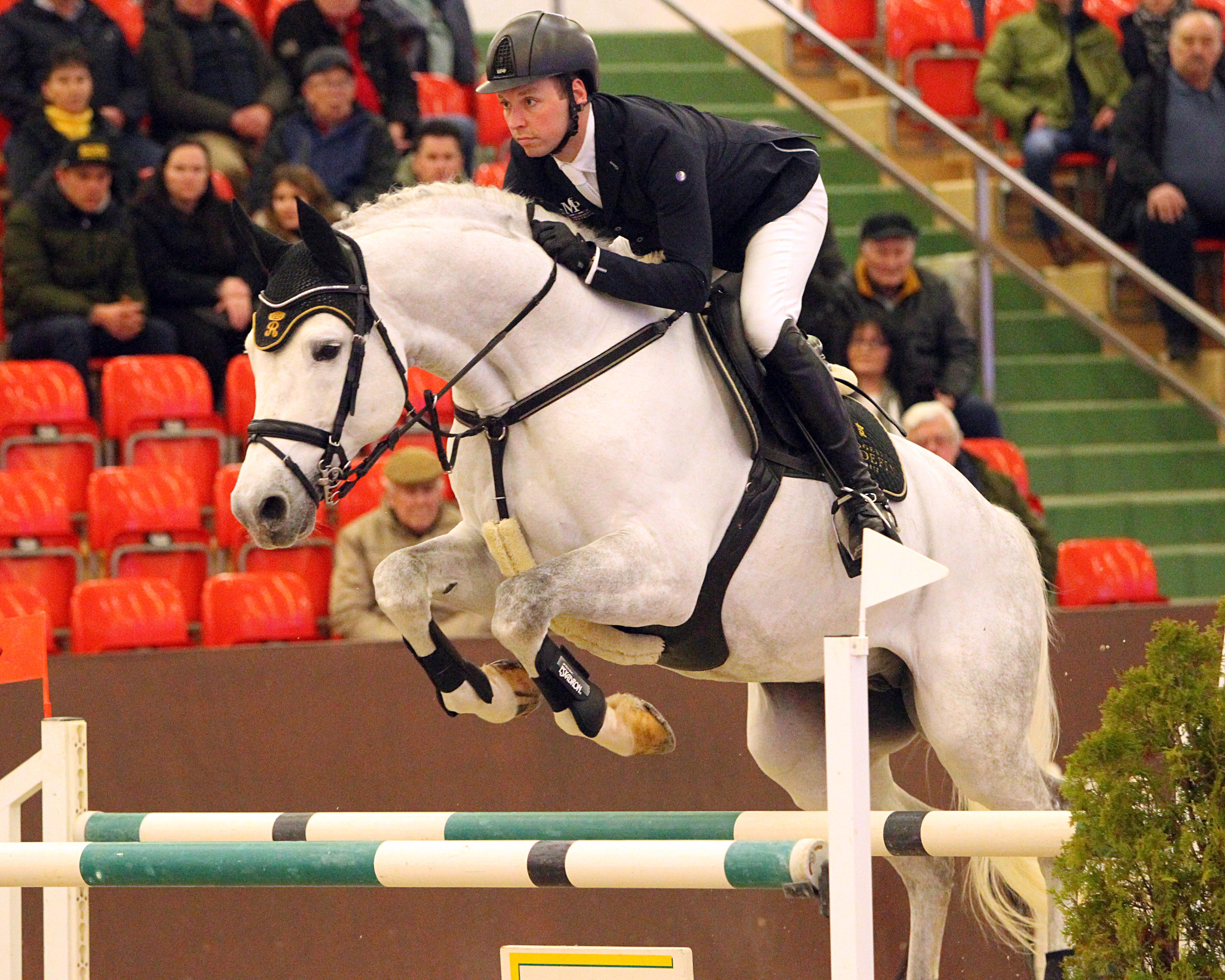 Besonders gespannt werden die Besucher des Hallenchampionats der Springreiter und der Hengstschau am kommenden Samstag ab 18 Uhr auf dieses Paar blicken - Maximilian Gräfe und der 9-jährige Redefiner Landgestütshengst Karat du Plessis von Padock du Plassis aus einer Corofino I-Mutter. Erstklassige Fohlen und ein schier grenzenloses Springvermögen sind seine Markenzeichen, dazu von seinem Top-Reiter erstklassig präsentiert. © Jutta Wego