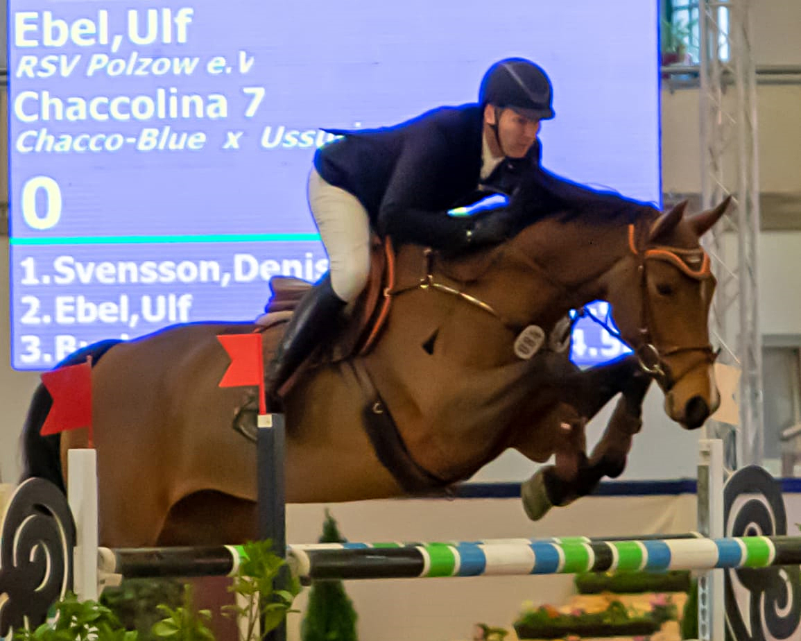 Den Großen Preis gewann der 43-jährige Ulf Ebel (Polzow) auf der Mecklenburger Chacco-Blue-Stute Chaccolina und wurde im Championat Vierter. © KaLo