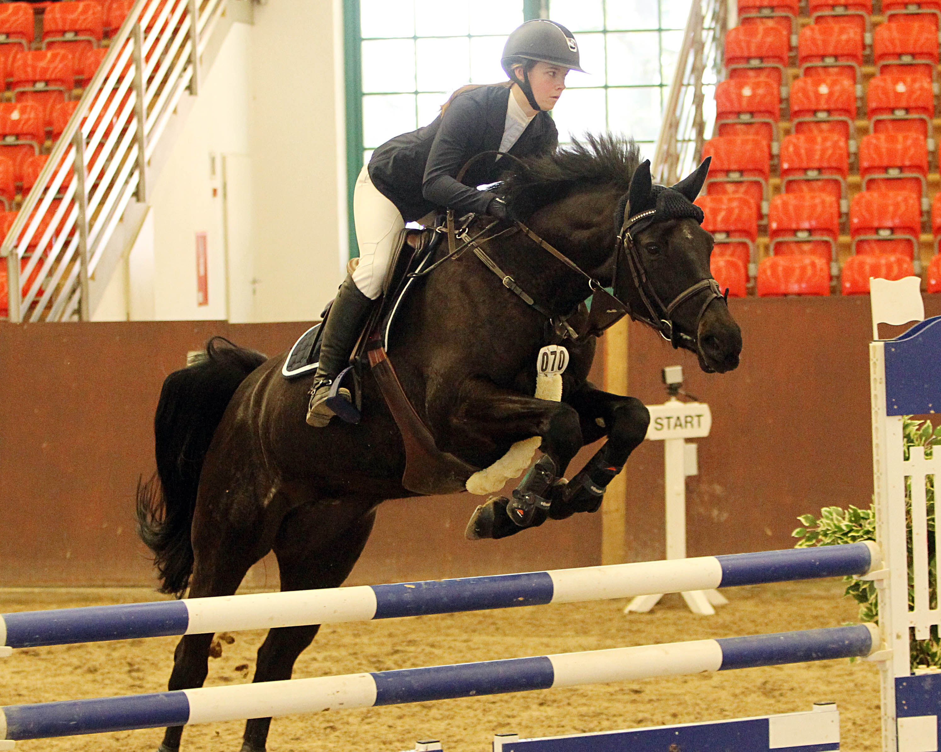 Die Stute Carmen ist nach einer Pause wieder in Bestform und trug die 20-jährige Paula Nagel mit zwei Nullrunden und dem Sieg im Zwei-Sterne M-Springen zum Gewinn des Championats bei den U25 Nachwuchsreitern. © Jutta Wego