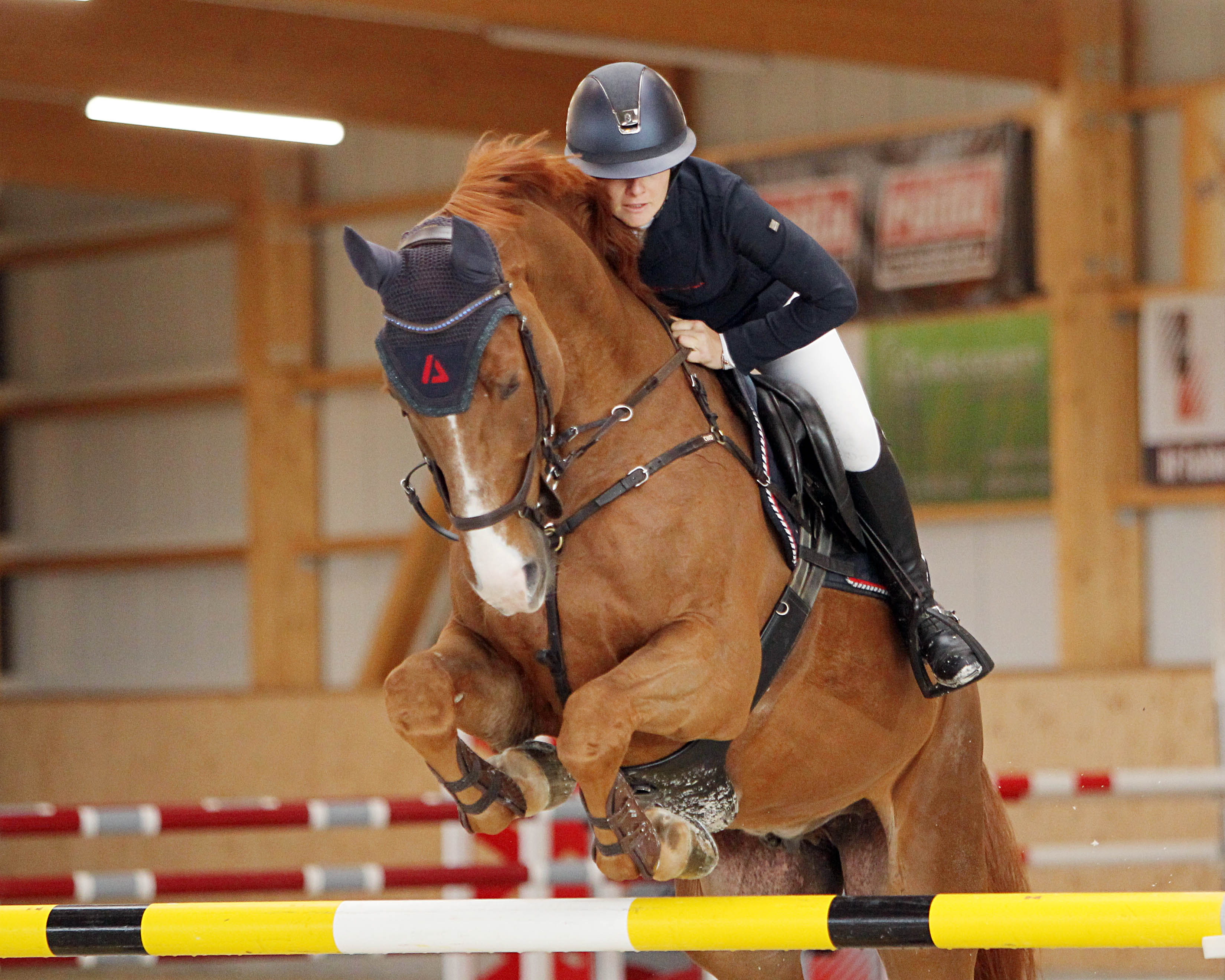 Auch die Österreicherin Stella Egger, für die PSA Schloss Wendorf Sattel und am Wochenende mit Carribaldi (Foto) Bronze bei den Hallenchampionaten, ist am Wochenende wieder dabei. © Jutta Wego