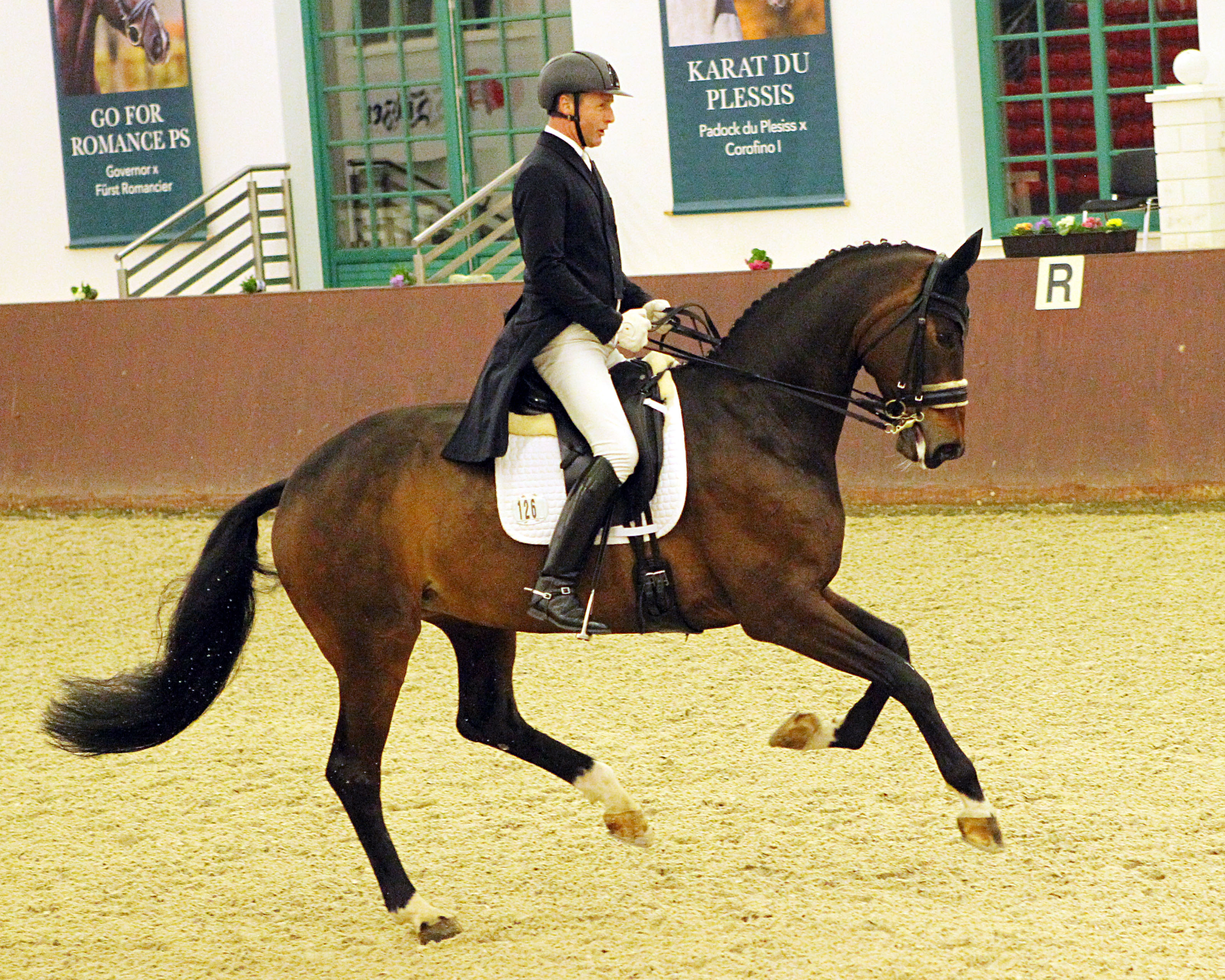 Ronald Lüders hat mit Feengold die Hauptprüfung des Hallenchampionats in Redefin gewonnen uns seiner Titelsammlung (15 Openair Landesmeistertitel) einen weiteren hinzugefügt. © Jutta Wego