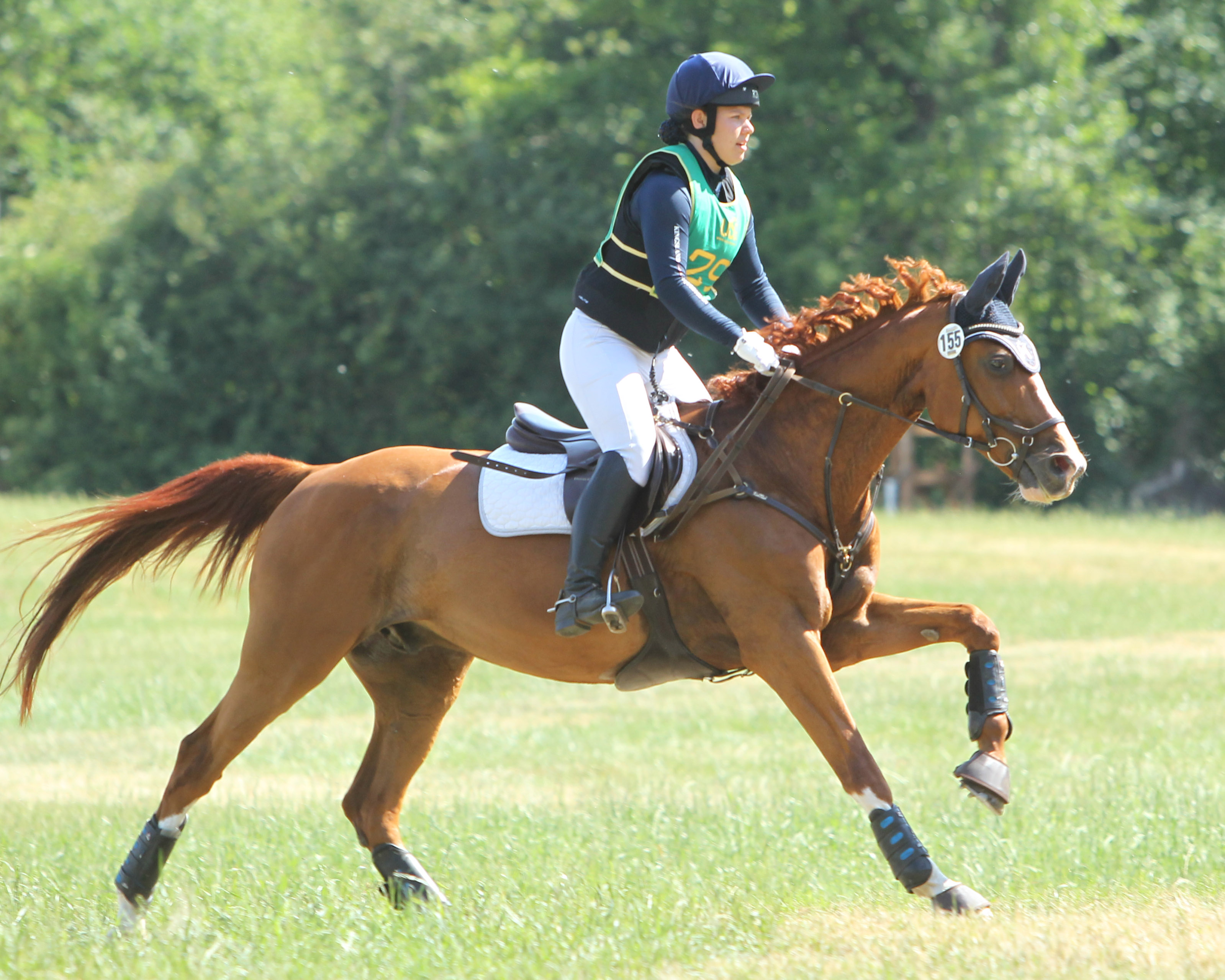 Jasmin Staege (Parkentin Hütten) ritt auf Carthagus Way mit soliden Einzelergebnissen auf den 3. Platz in der E-Kombi. © Jutta Wego