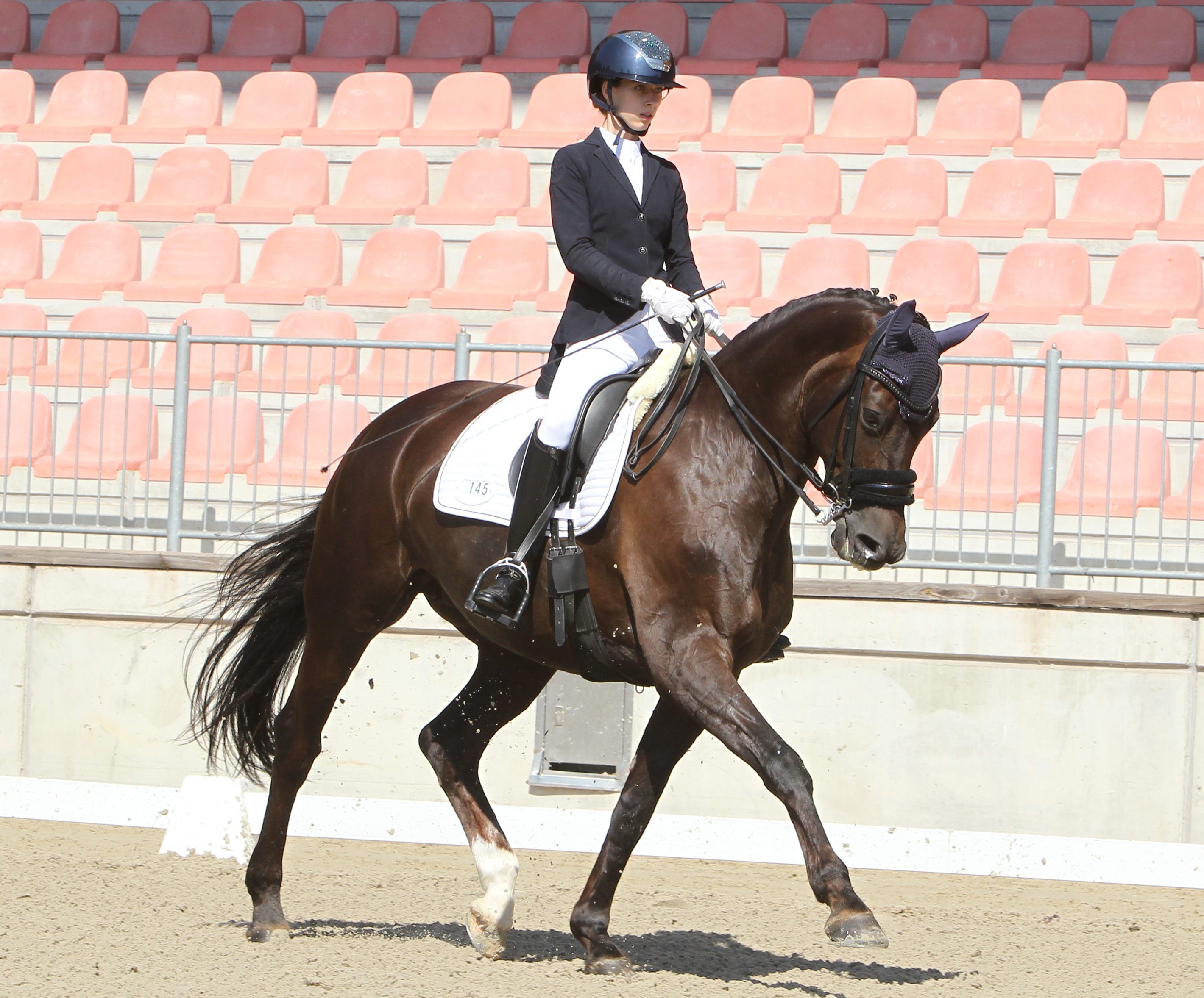 Lily Schrenk (Trent) hat in Hohen Wieschendorf mit Quiness D die 1. Qualifikation zur Femfert-Dressage-Trophy gewonnen.© Archiv Wego