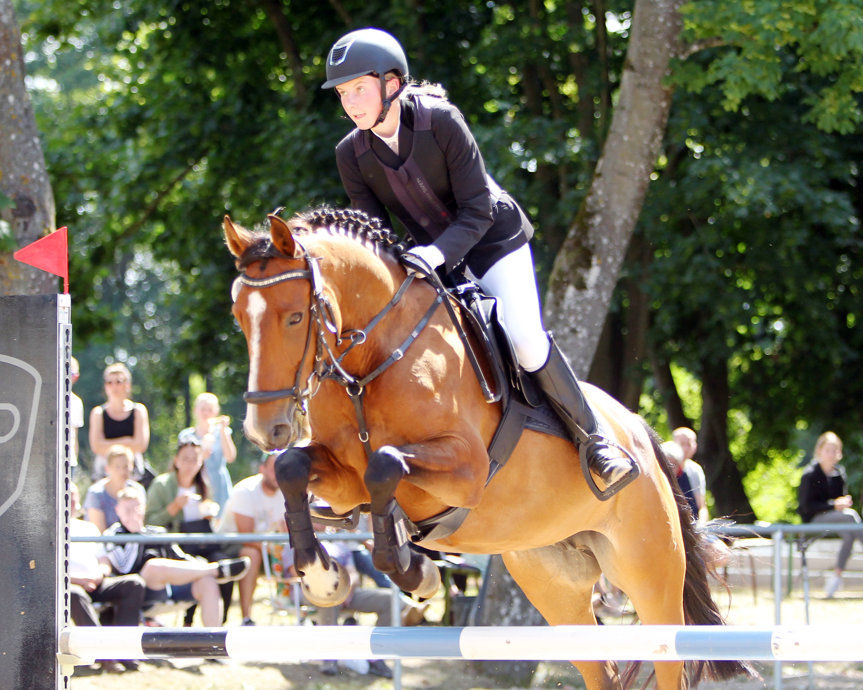 Ilka Zacharias vom RFV Krümmel gewann auf der Reitponystute H-S Baloubine die E-Vielseitigkeit. © Archiv Wego