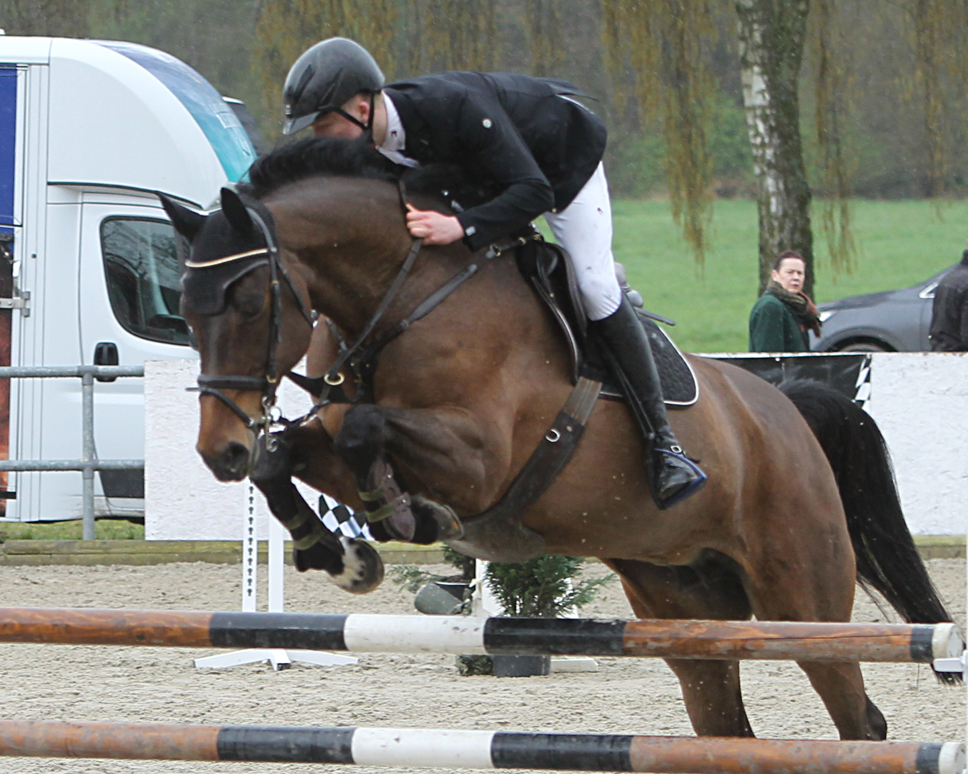 Max Johann Horn (Klützer Winkel) gewann mit Priceless die 2. Abteilung des M1*-Springens. © Jutta Wego