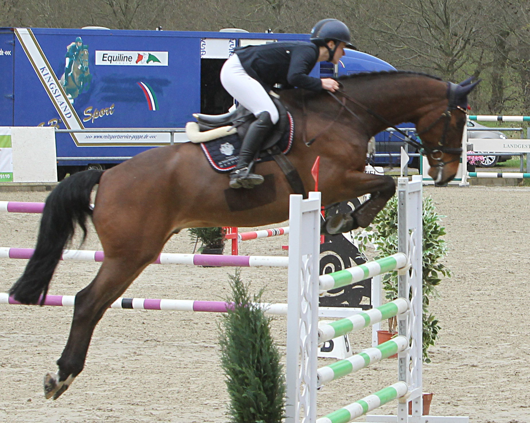 Die höchste Note im Stilspringen Kl. L (Qu. zum Glanz-Junior-Future-Cup) ging mit 8,6 an Stella Egger (Schloss Wendorf) auf Al Dorado P, mit dem sie die 1. Abteilung gewann. © Jutta Wego