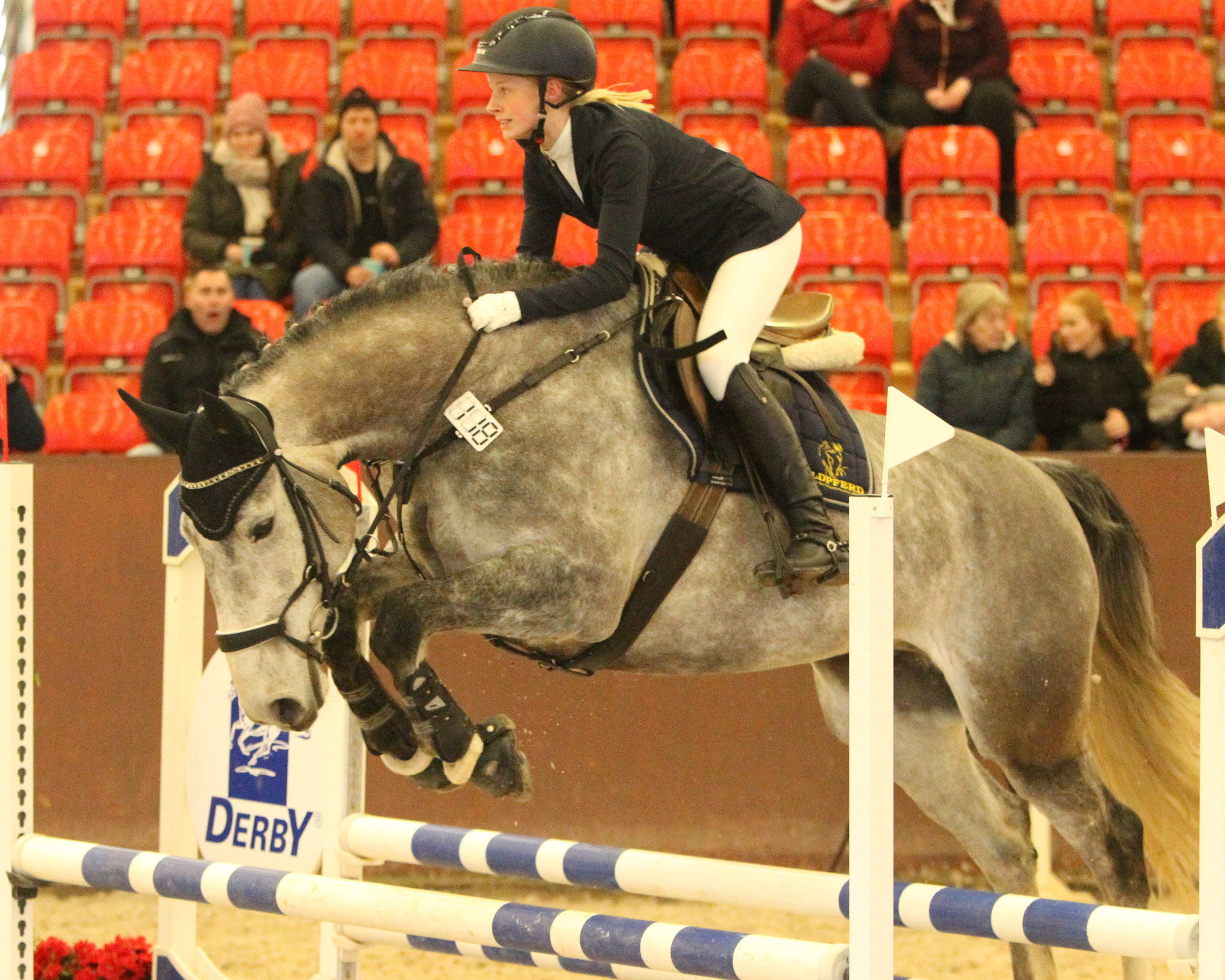 Siegerin der 1. Abteilung des Stilspringens Klasse A1* wurde Charlotte Rudat (Redefin) auf Corvey S (8,4). © Archiv Wego