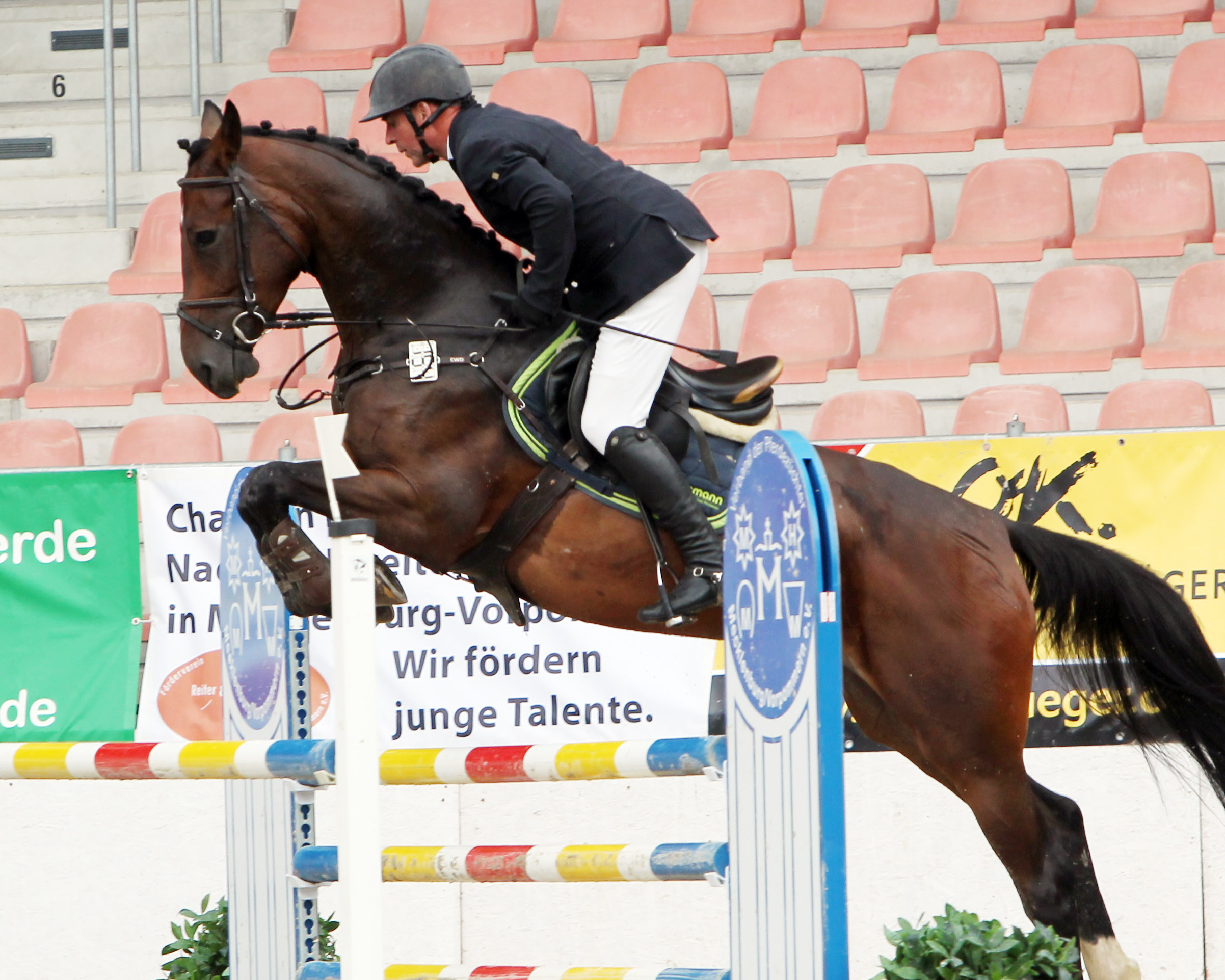 Auch unter den sechs Platzierungen des Garlitzers Jörg Möller befand sich ein M1*-Sieg auf der 7-jährigen Stute Cornets Lady aus familieneigener Zucht. © Jutta Wego