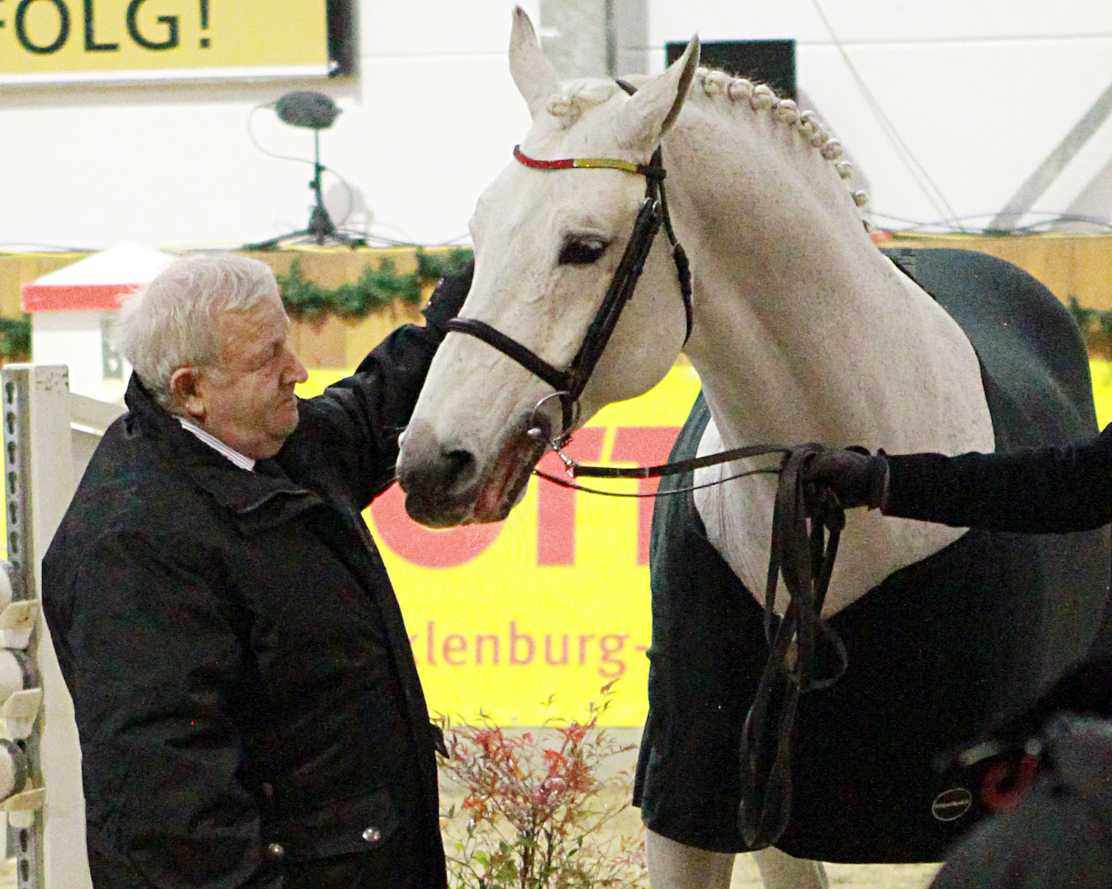 Heinz Schmidt und sein Liebling, der weltbekannte Hengst Cellestial. © Jutta Wego