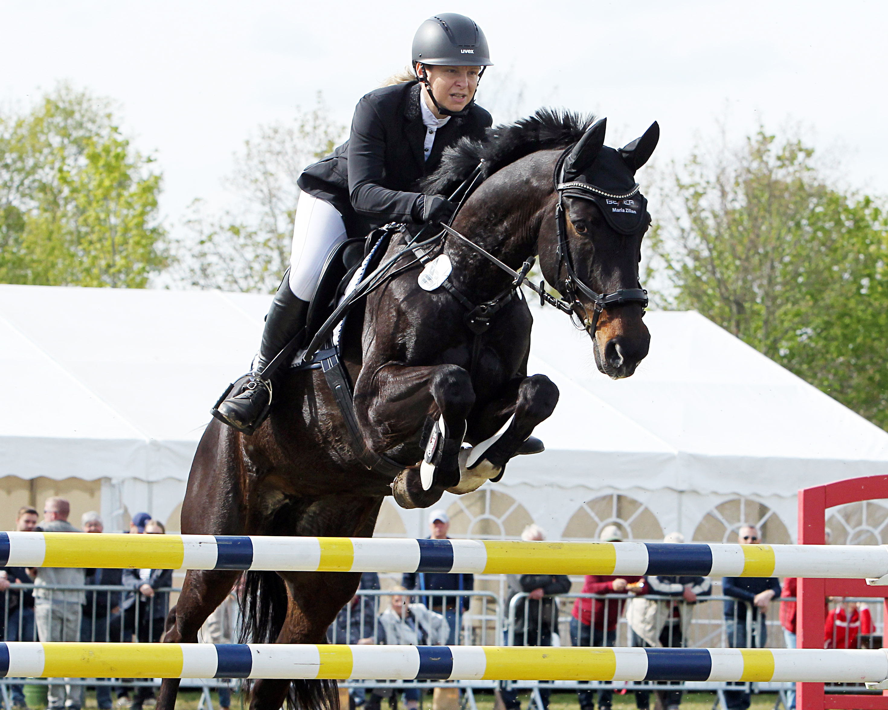 Am Samstag konnte sie keiner bezwingen - Anne Wejda (Barth Rubitz) gewann das M1*-Springen und das Championat, ein M2*-Springen, mit Cellestra. © Jutta Wego