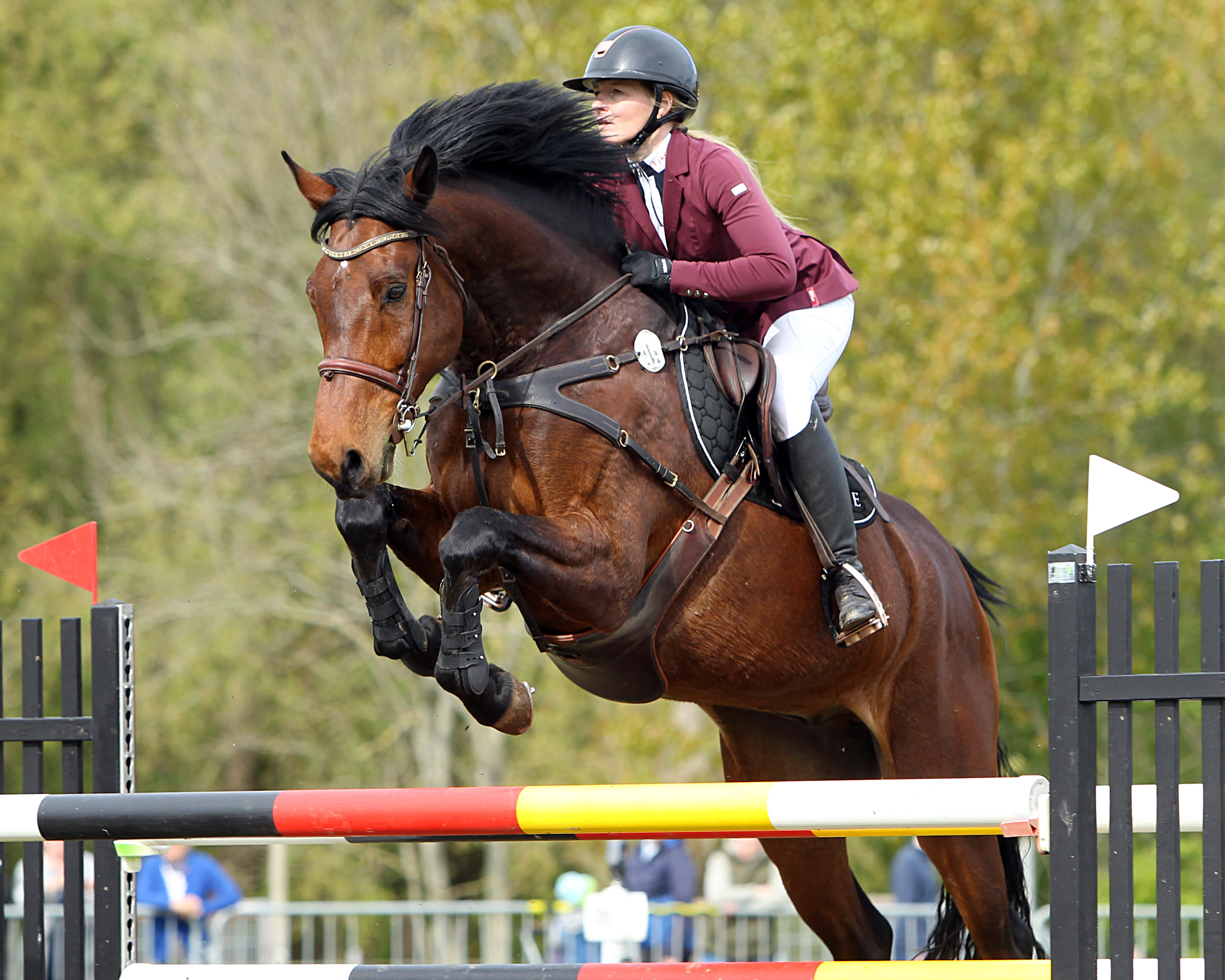 Auch Juliane Weihs gehörte zu den erfolgreichen Teilnehmern in Groß Stieten. Am Samstag gewann sie ein M-Springen mit Hell Boy van de Zuuthoeve Z. © Jutta Wego