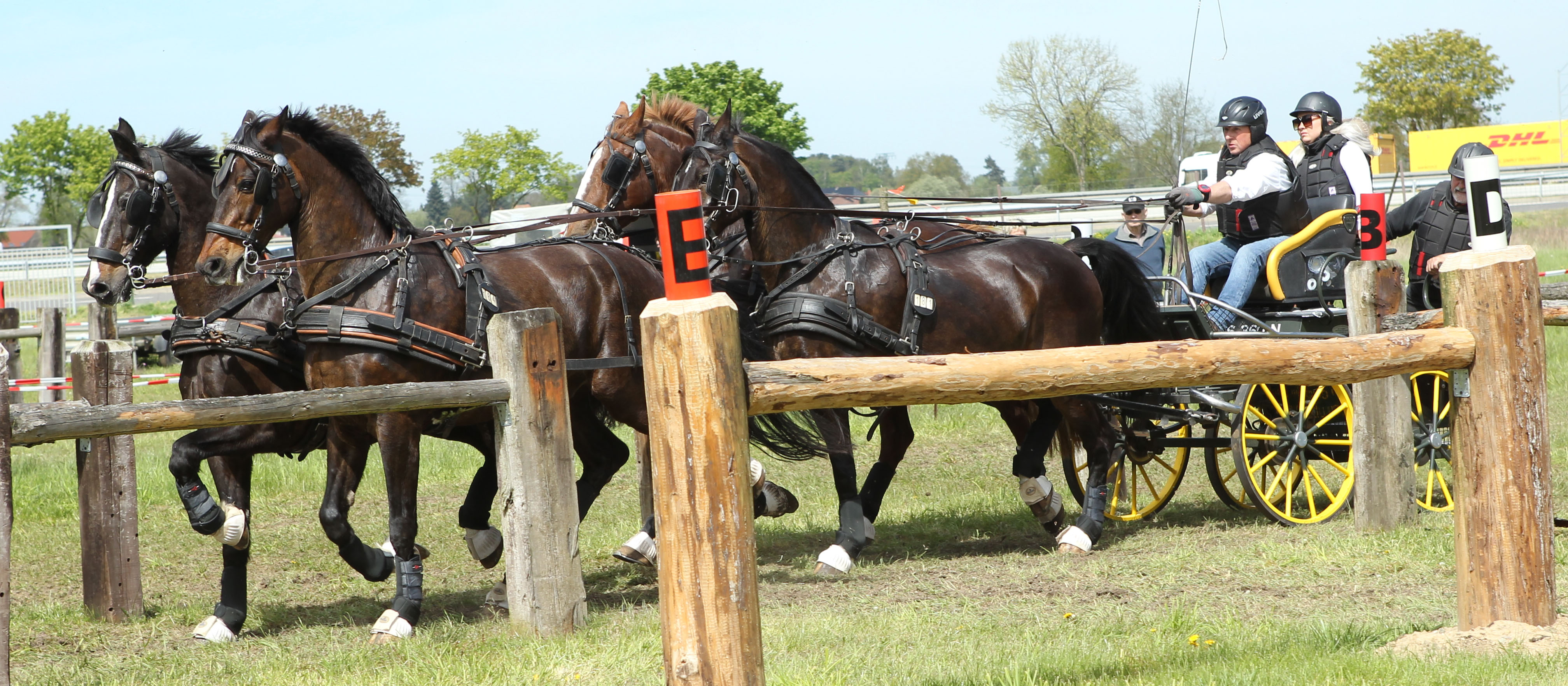 Herzerfrischende Auftritte, vor allem im Gelände (4.Platz), hatte Silbermedaillengewinner Renè Stuhr aus Lübz mit seinen erfahrenen Pferden. © Jutta Wego