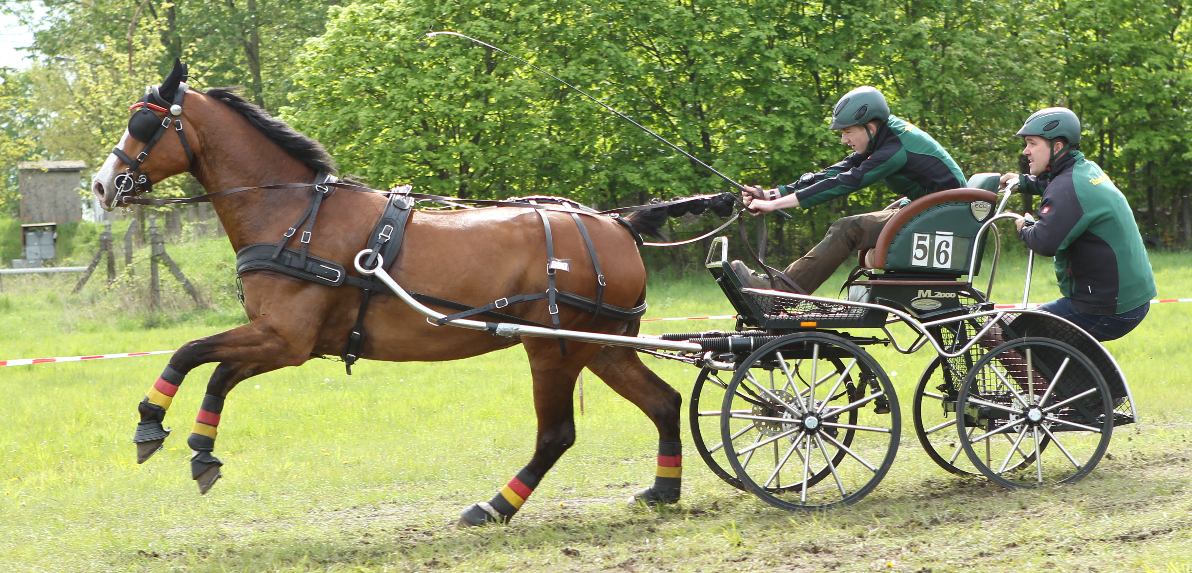 Der 14-jährige Marvin Schildt hat mit Gam Boy sein Talent mit Platz 4 in der Dressur, Platz 3 im Kegeln und Platz 4 in der Kombi erneut unter Beweis gestellt. © Jutta Wego
