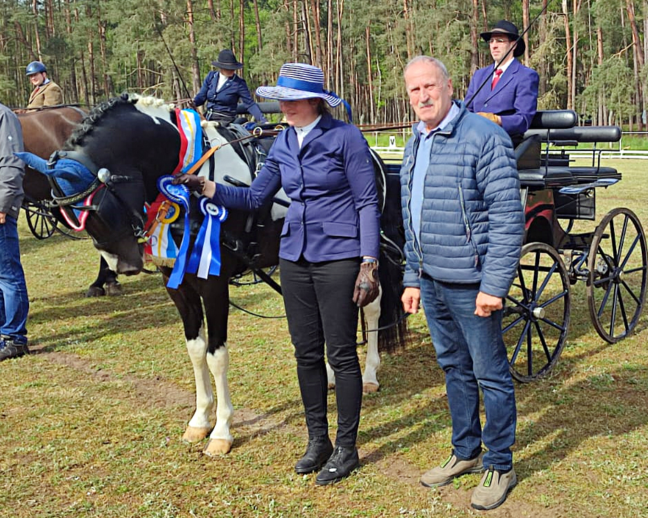 Bei den Ponys ging der Landeschampionatstitel an den 4-jährigen Lewitzer Hengst Rhemus von Rheingold x Munser I. Verbands-Präsidiumsmitglied Dieter Brüsch gratuliert. © Eila Wolf