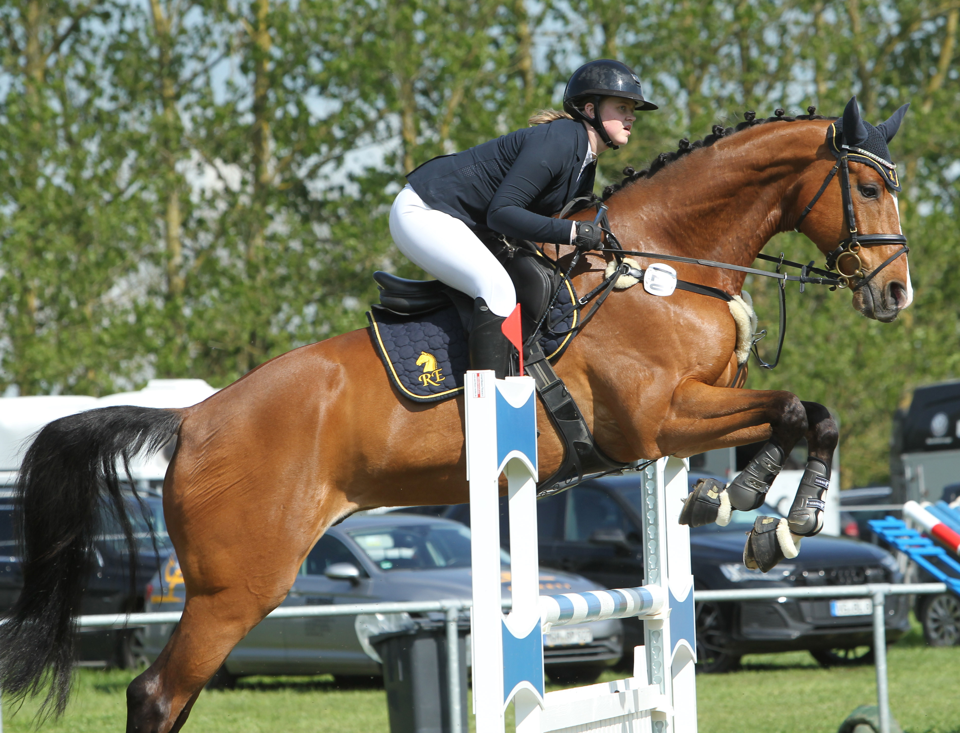 Zu den erfolgreichsten Teilnehmerinnen im Springsattel gehört Luzie Schwinge (Weitenhagen) mit einem Sieg und insgesamt fünf Platzierungen - hier mit Charly SE im L-Springen. © Jutta Wego