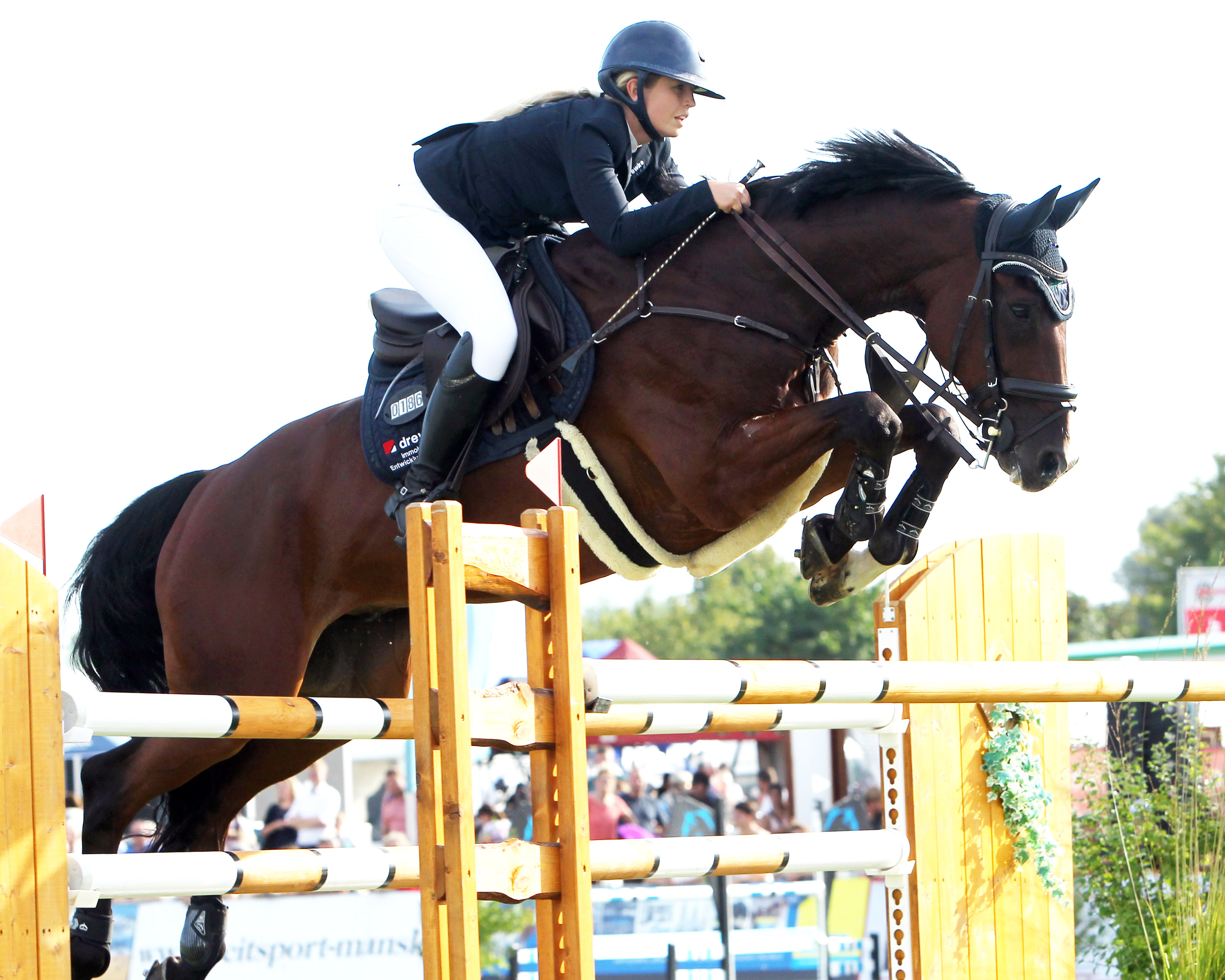 Die Redefinerin Christin Wascher lieferte mit Quincy auf dem 5. Platz das zweitbeste Ergebnis für einen Reiter aus Mecklenburg-Vorpommern. © Jutta Wego