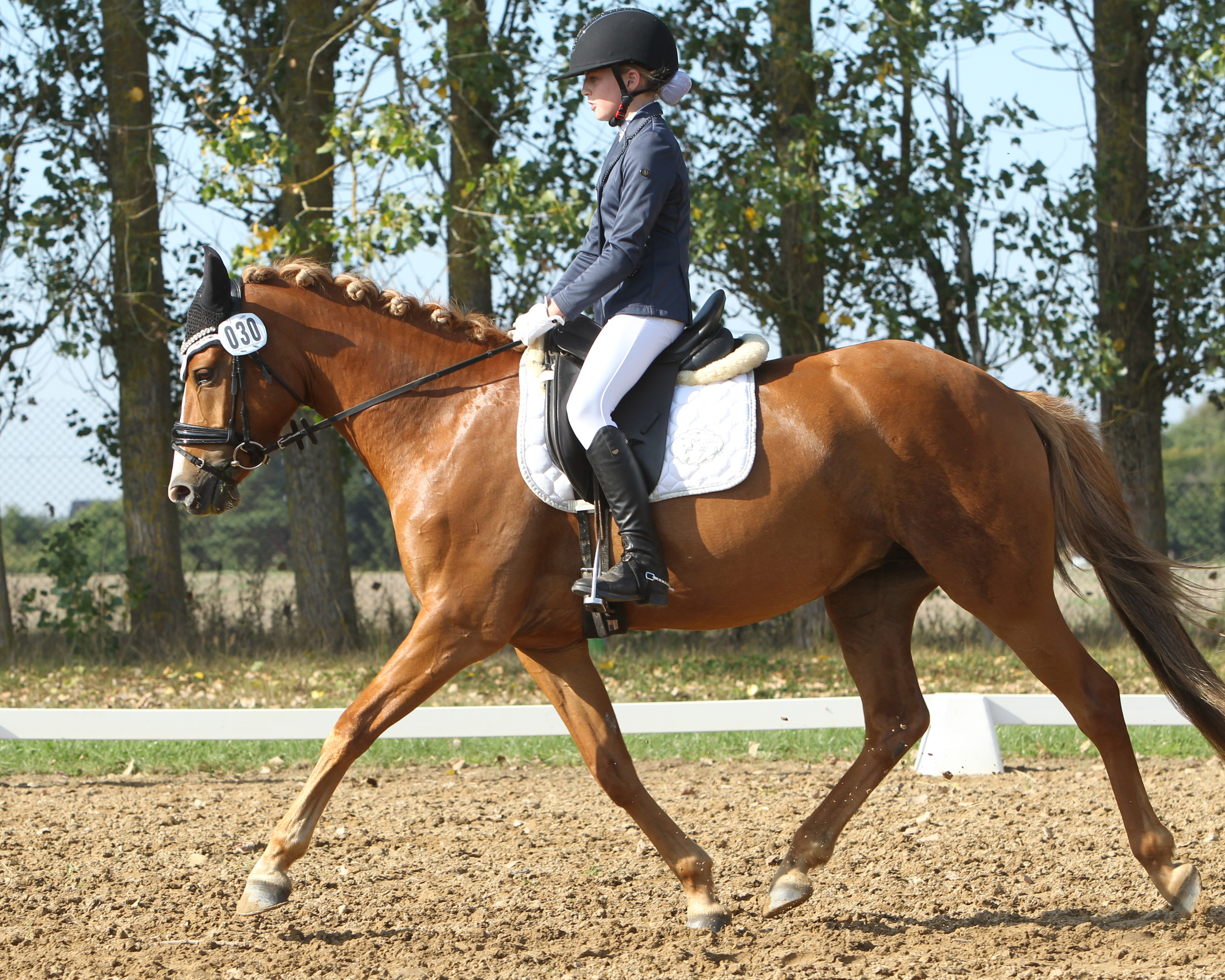 Auch die A-Dressur A5 wurde mit Matilda Behrens auf Gronborg’s Cassius Clay von einer einheimischen Reiterin gewonnen. Das Foto zeigt sie mit dem Pony Darja G. © Archiv J.Wego