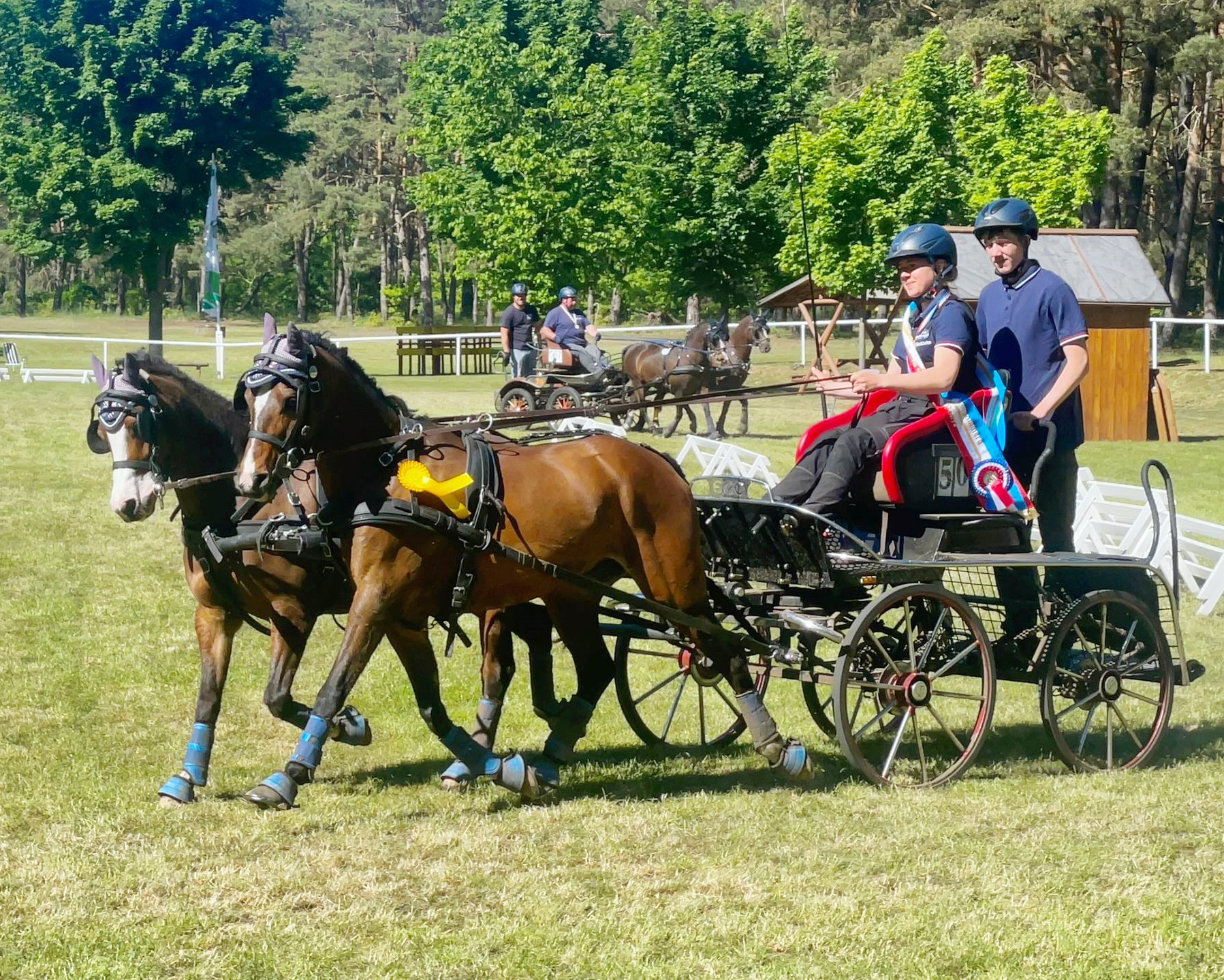 Die 17-jährige Michele Schildt aus Nieköhr bei Gnoien fuhr mit der Welsh-Stute Lu und dem Reitpony Lucky und ihrem Bruder Marvin bei der Siegerehrung als Beifahrer zum ersten Landesmeistertitel über alle Altersklassen. © privat