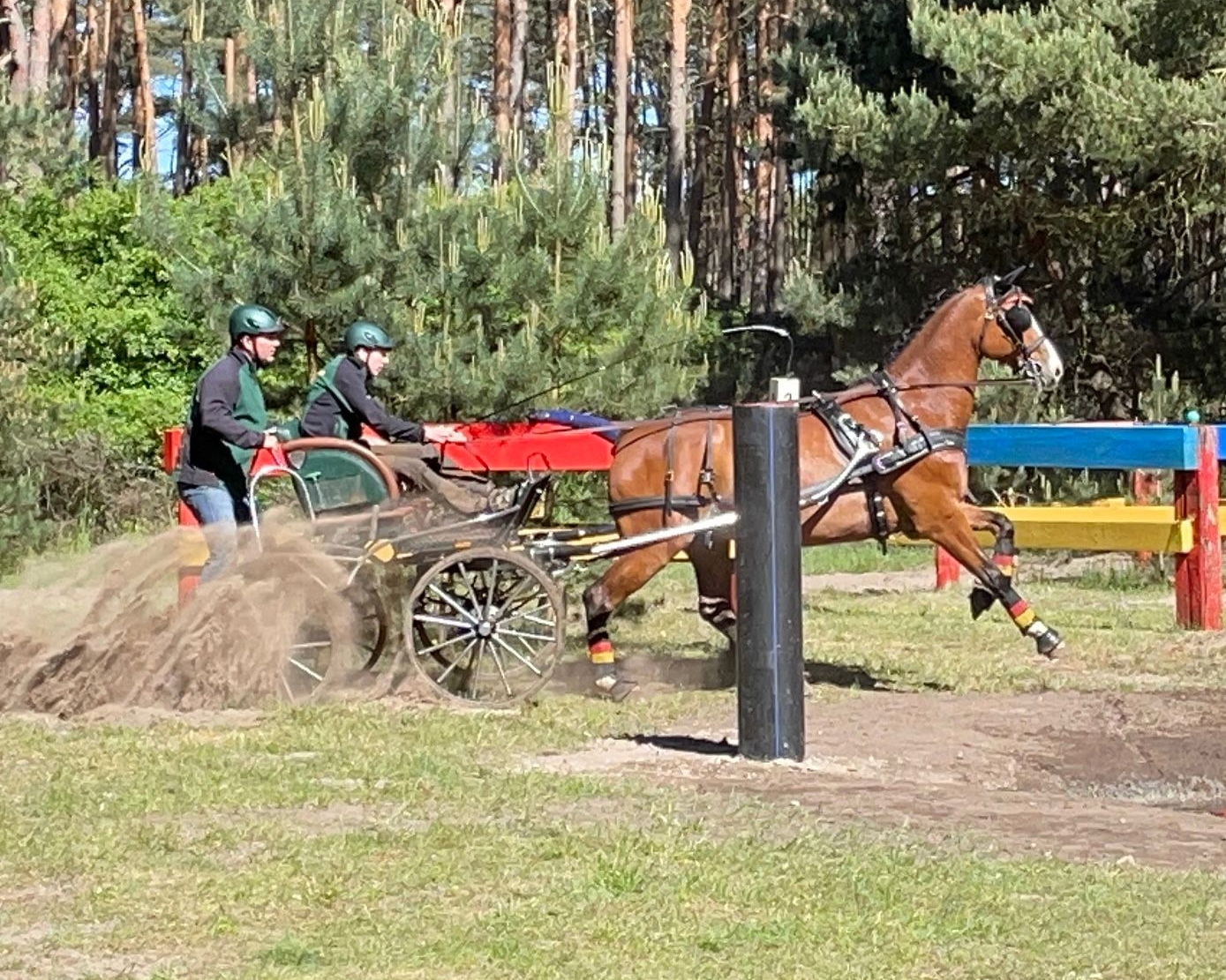 Auch der 14-jährige Marvin Schildt startete in Plöwen und gewann mit dem Mecklenburger Gam Boy und seinem Vater Mario als Beifahrer die Kombinierte Prüfung der Einspänner in Klasse A. © RFV Plöwen