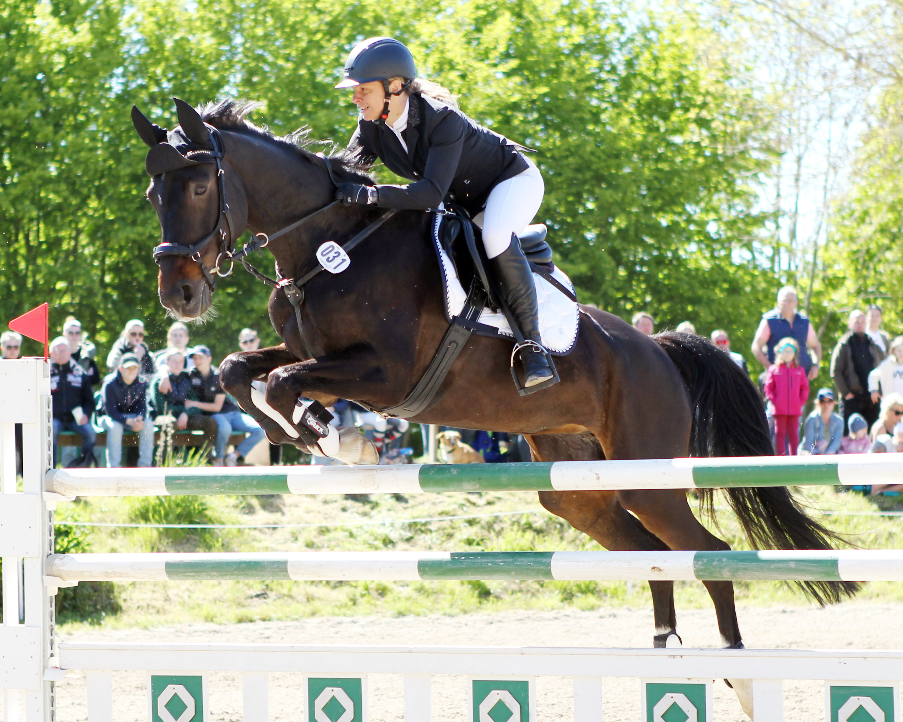 Den Großen Preis von Trent gewann nach spannendem Stechen Anne Wejda vom RFV Barth/Rubitz mit Cellestra. © J.Wego
