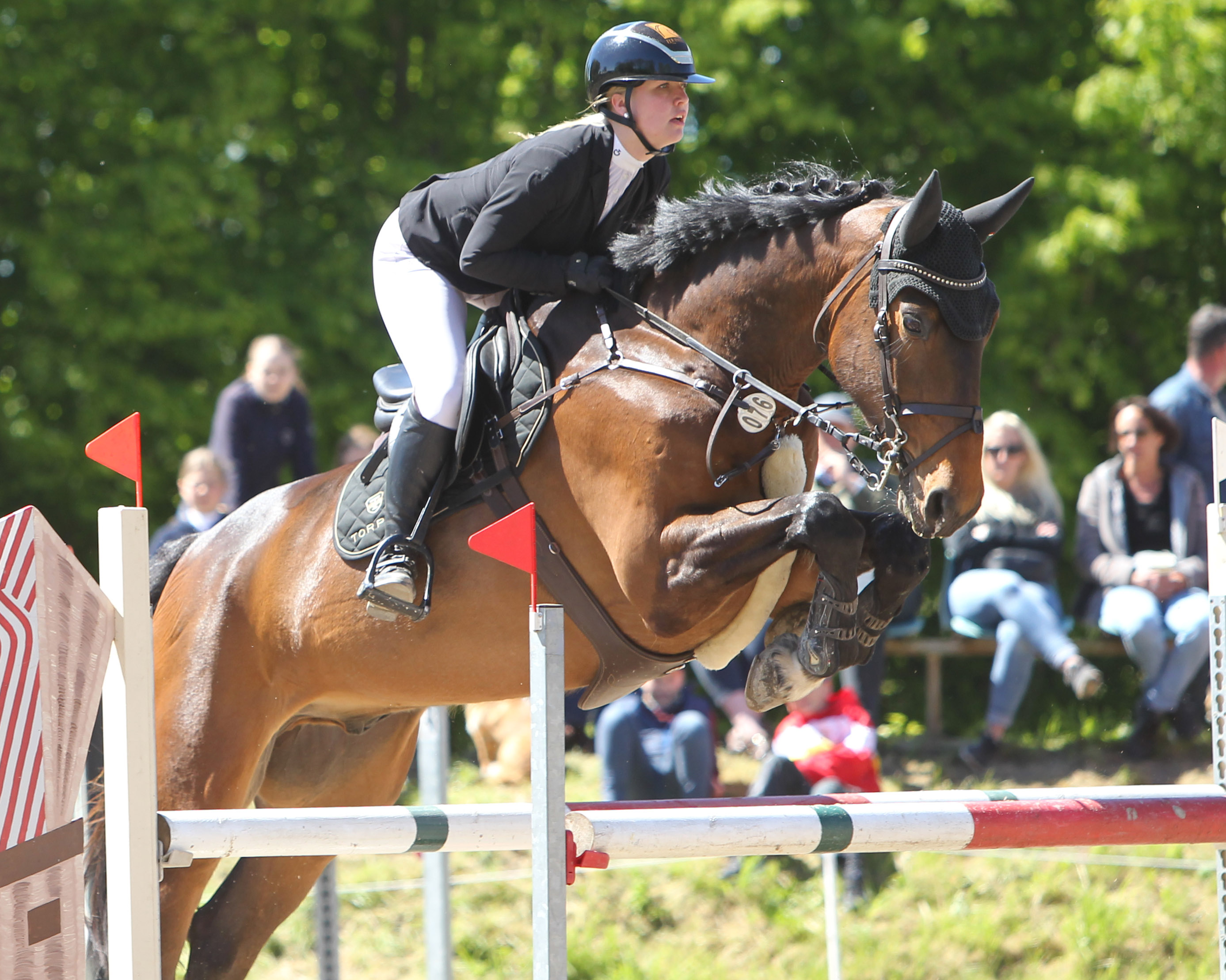 Die 15-jährige Emma Wiktor wurde mit der Chellestial-Tochter Clara Zweite im Championat, belegte im Großen Preis den 5. Platz und hat mit dem 6-jährigen Dornbub M (Foto) ein neues Talent aus der Zucht ihrer Oma Margitta Wiktor unter dem Sattel mit dem sie in der Springpferde L Zweite wurde. © J.Wego