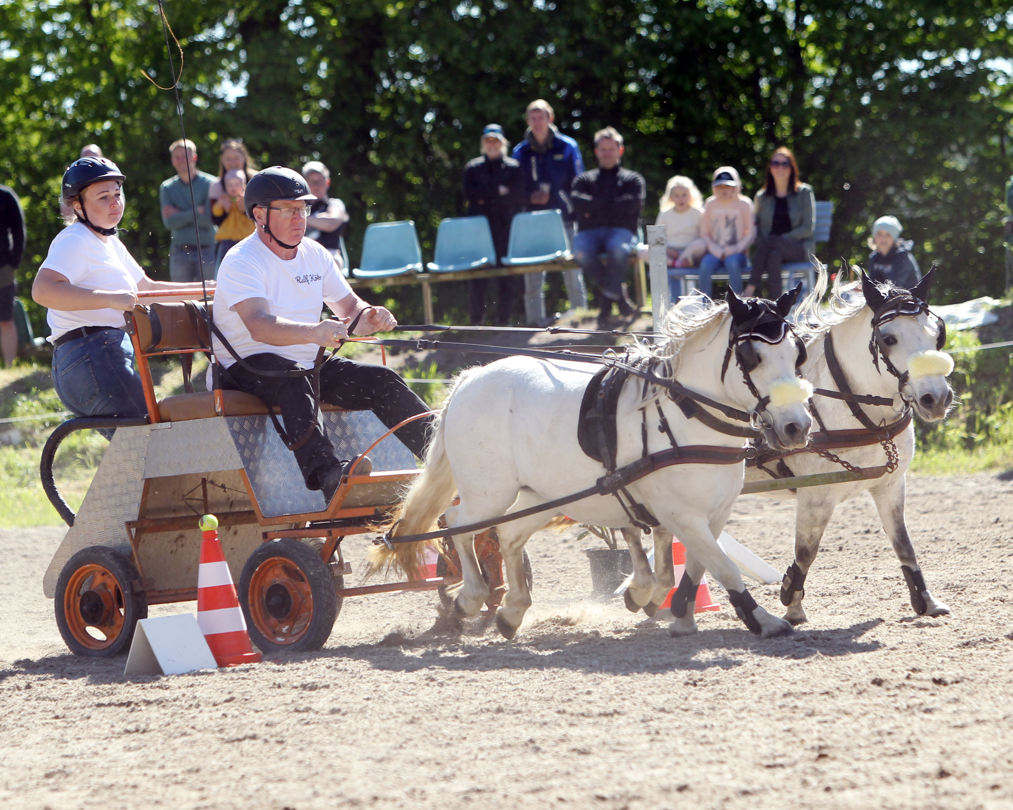 Im vorigen Jahr wurde er Rügen-Meister, in Trent gewann Ralf Köhn aus Garz mit seinen Shetlandponys Sabrina und Inge erneut das Hindernisfahren. © Jutta Wego