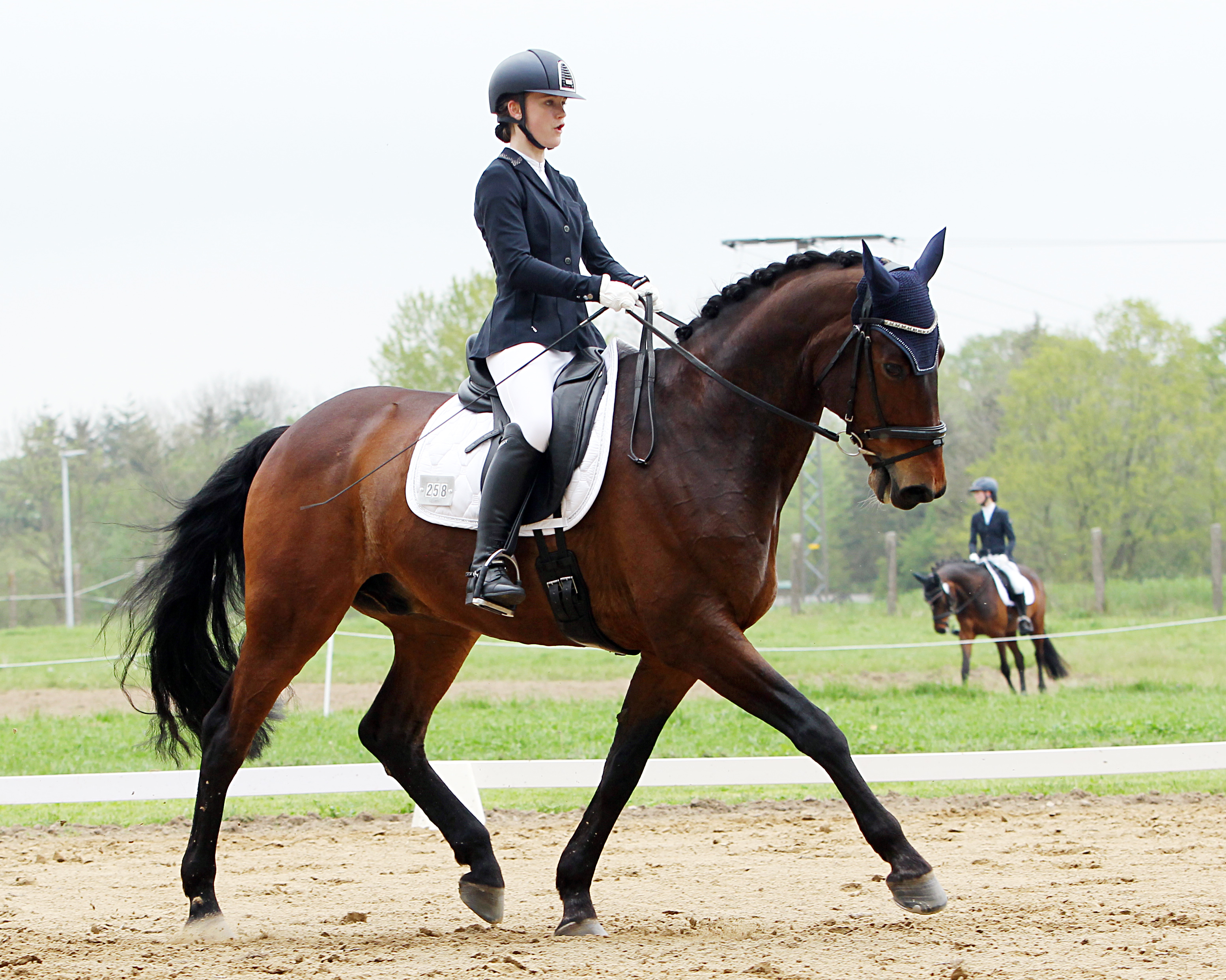 Die L-Dressur am Samstag wurde von Lina Lange (Kühlungsborn) mit Longchamp gewonnen. © J. Wego