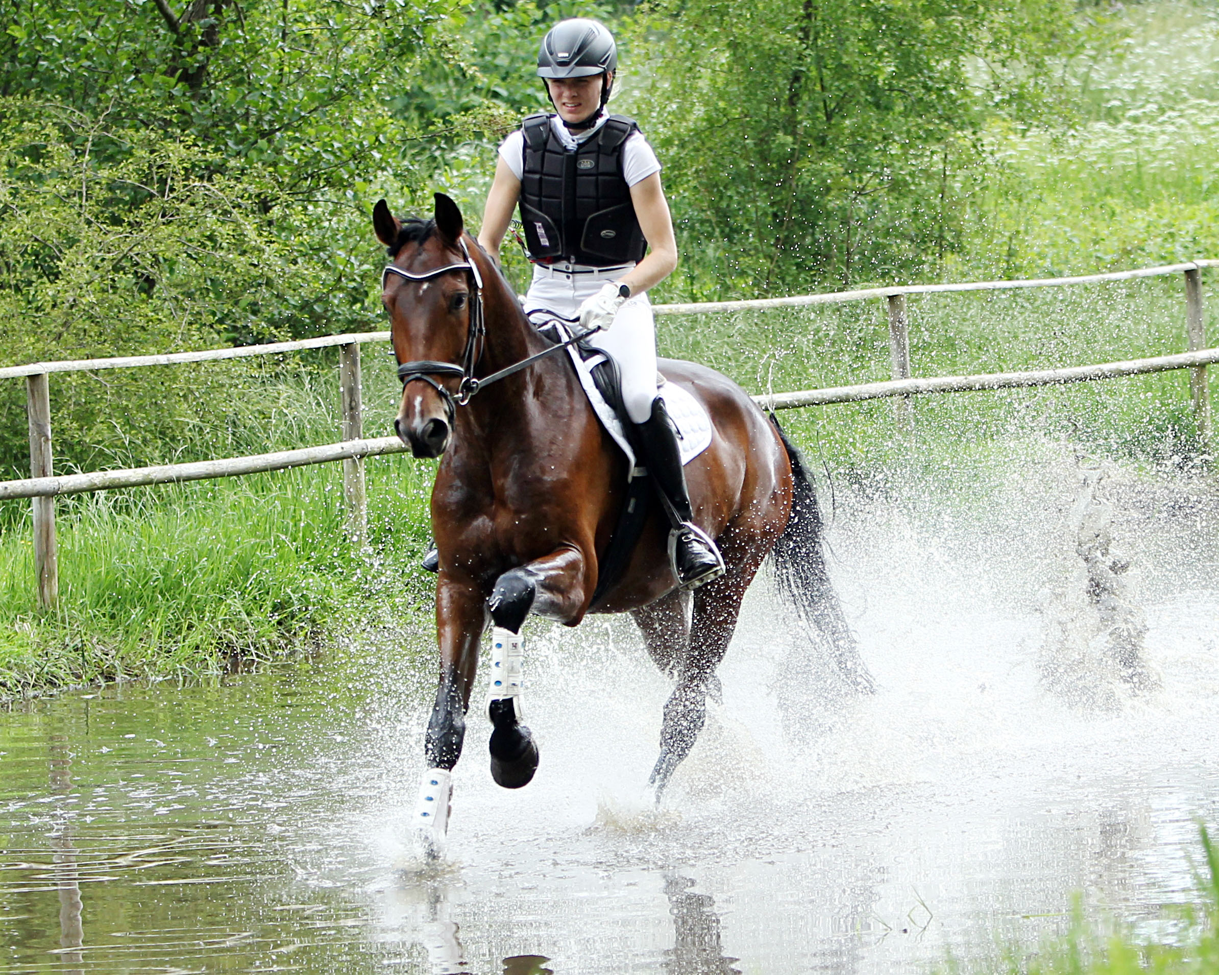 Der 6-jährige Balou’s Olymp von Balou Peggio x D’Olympic den Peter Wöst in Alt Bukow gezogen hat, wurde unter Paula Fatteicher (Neuendorf) Champion der Mecklenburger Geländepferd. © J.Wego