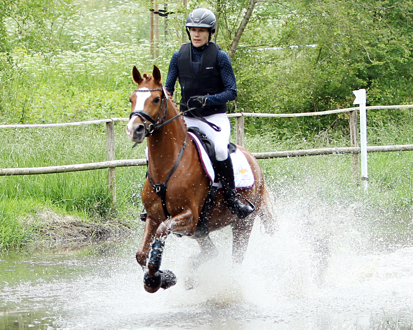 Der Championatstitel bei den Mecklenburger Ponys ging an Norbit, den seine Reiterin Manuela Granzow aus Zehlendorf selbst mit Nusseis vM aus einer Wendelo’s Nelson-Mutter gezogen hat. © J.Wego
