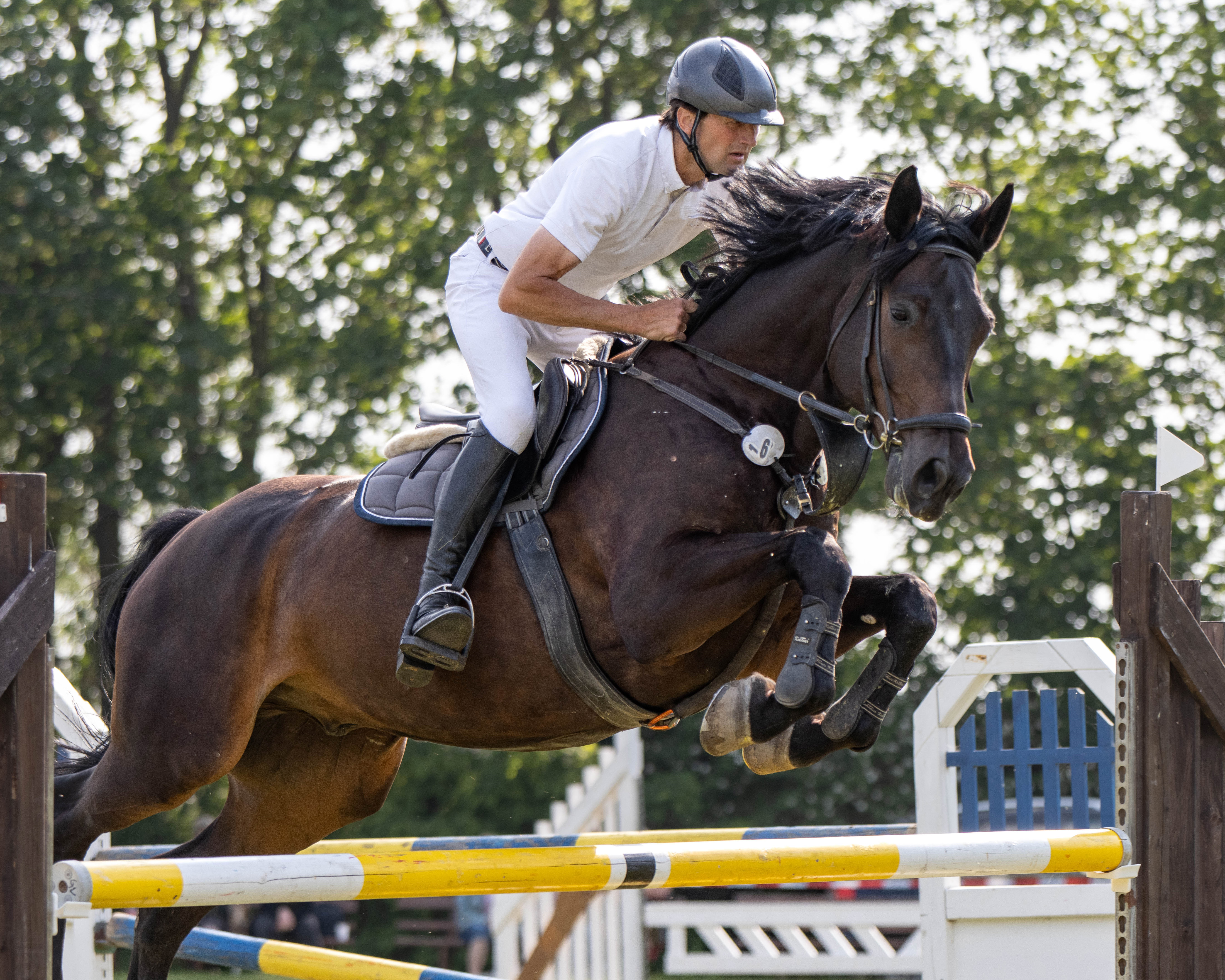 Der 55-jährige Holzendorfer Thomas Schröter gewann in Groß Vielen beide M-Springen mit dem selbstgezogenen. Am Samstag siegte auf dem 10-jährigen Messenger Sohn Mero. © Sophia Boge