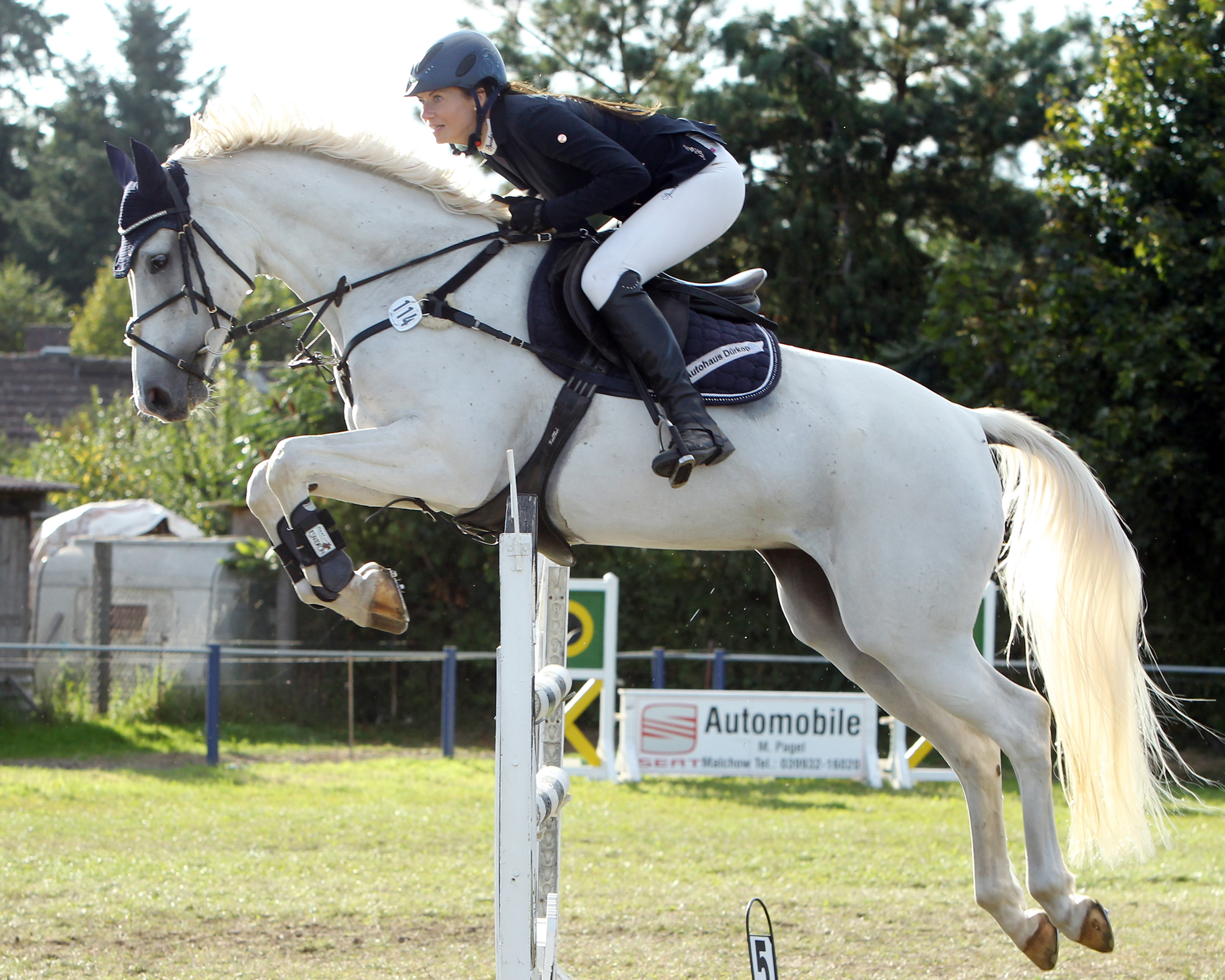 Das Punktespringen Klasse M am Samstag holte Lisa Rohde mit ihrer Schimmelstute Come on Girl nach Neu-Lüdershagen. © J.Wego