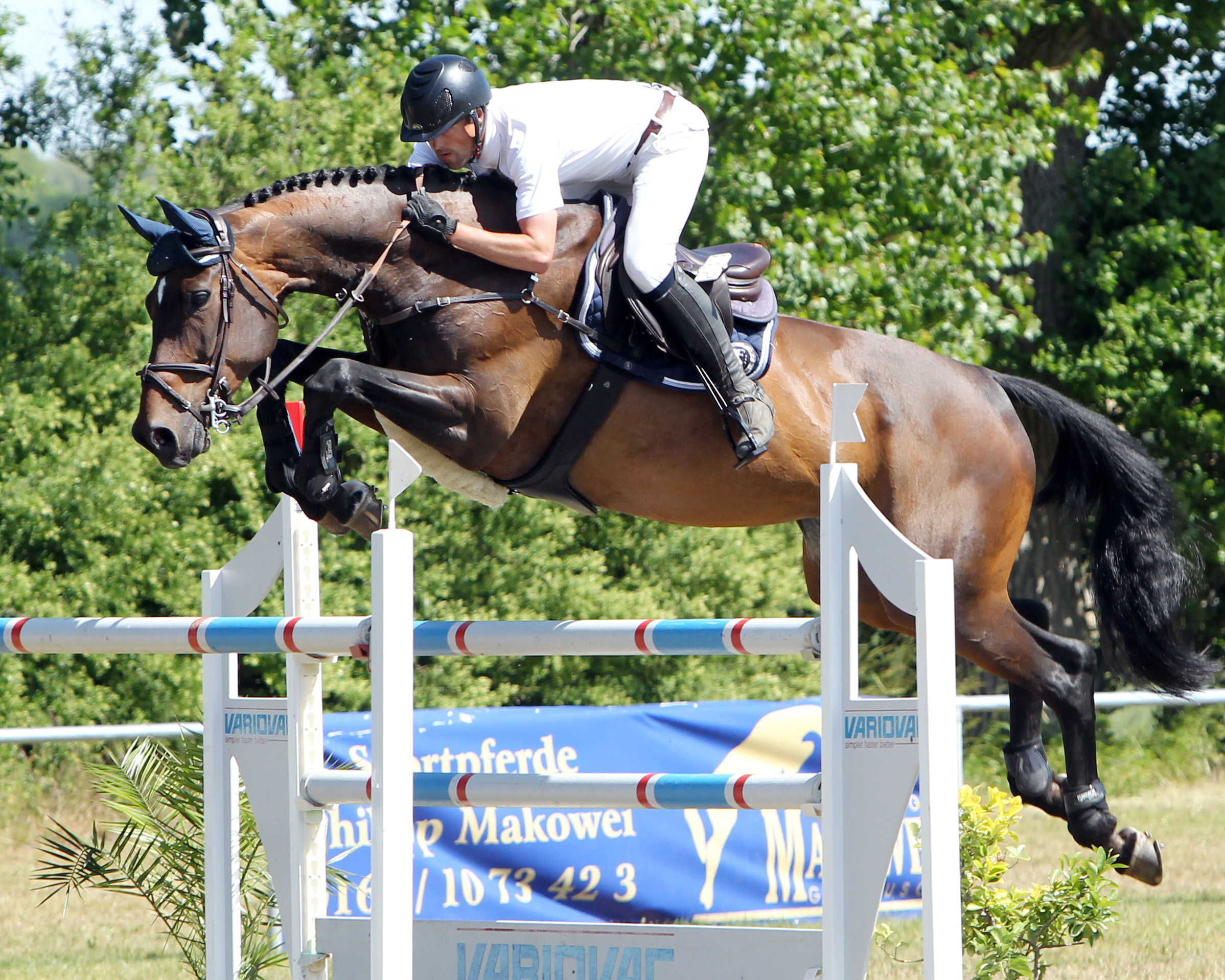 Das Championat von Rehna, ein Zwei-Sterne M-Springen am Samstag, hat Philipp Makowei mit der Stute Queo II gewonnen. © J.Wego