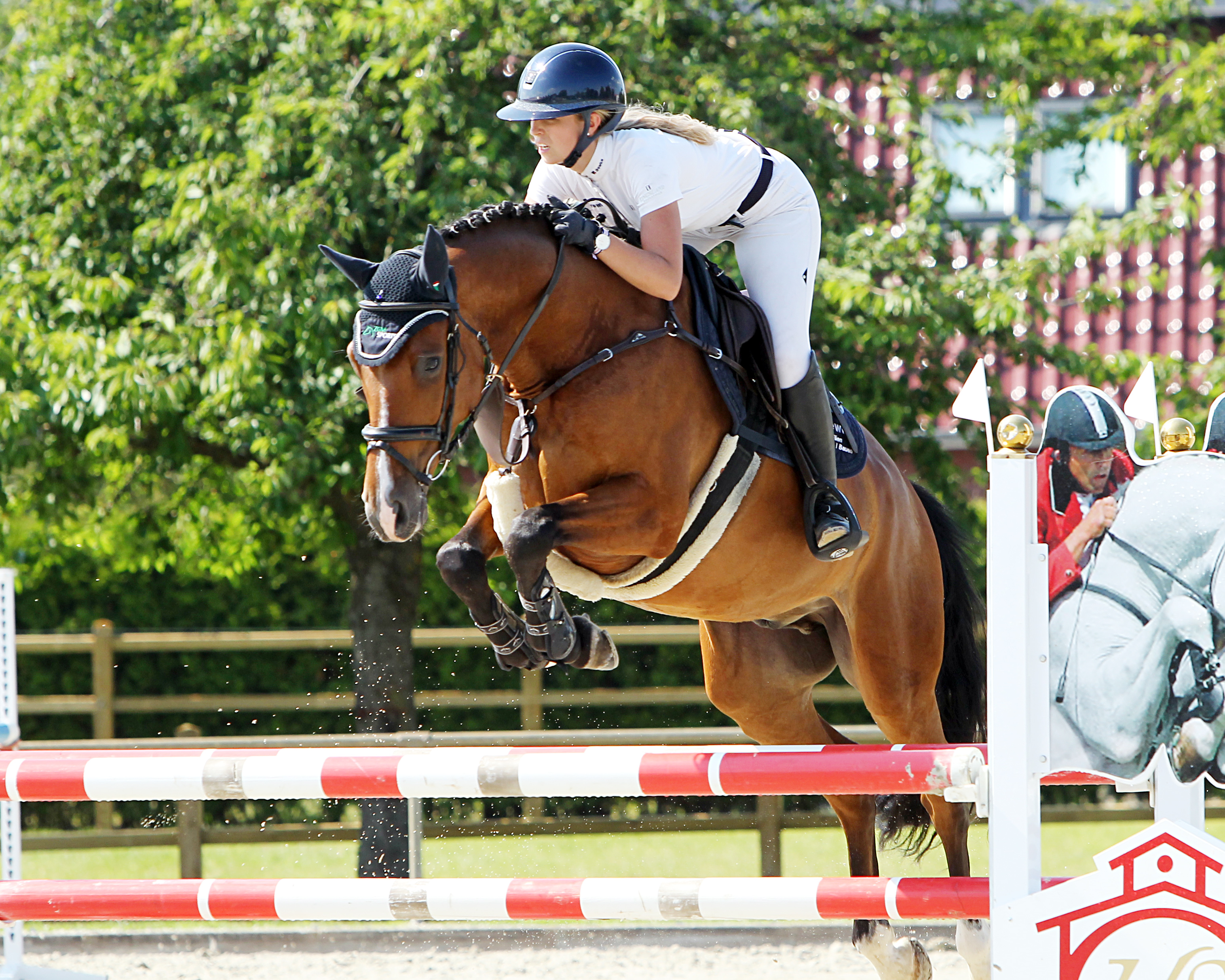 Die Qualifikation der 6-jährigen Pferde gewann Christin Wascher (Redefin) mit der Wertnote 8,6 auf dem Casall-Sohn Calandro. © J.Wego