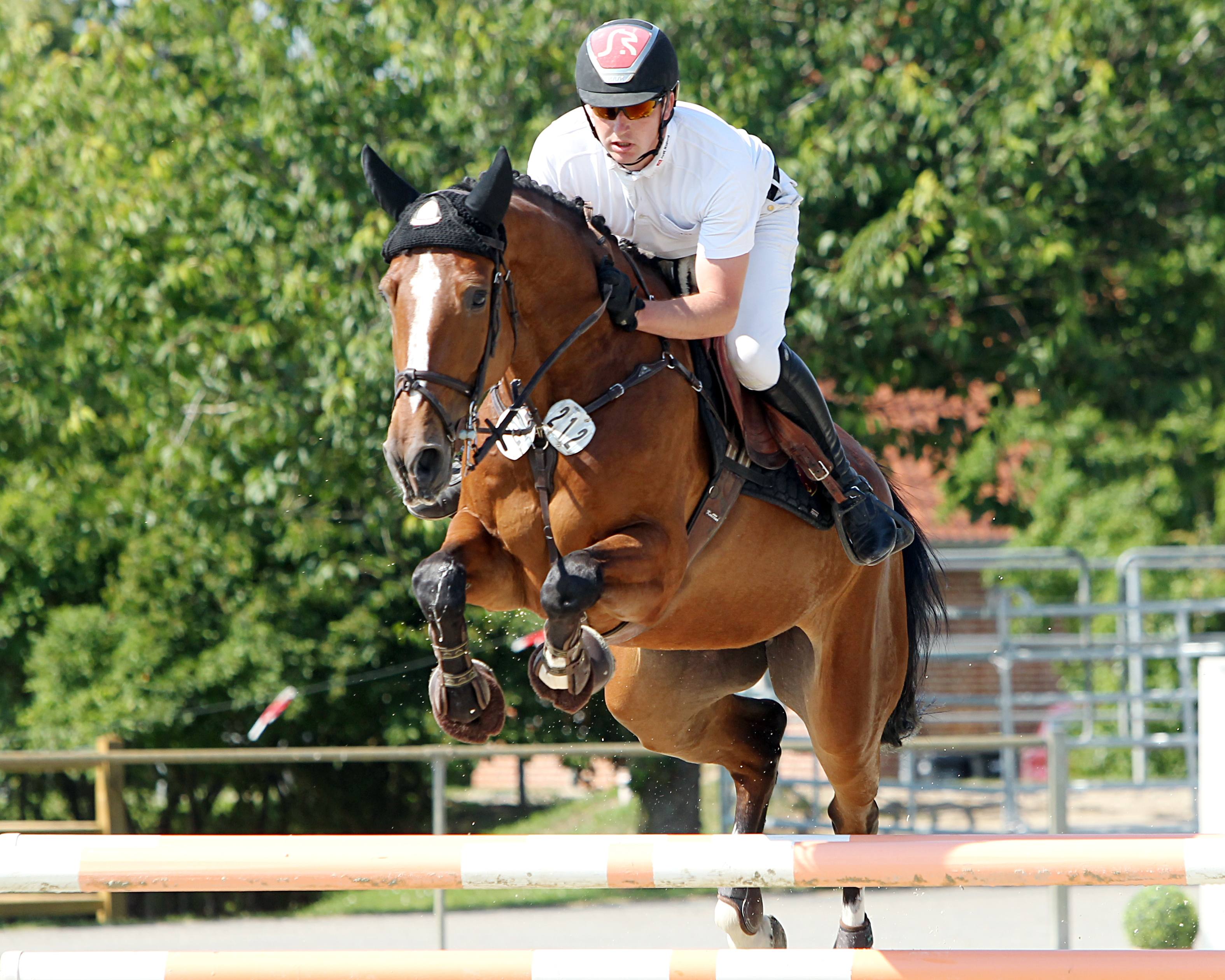 Die Einlaufprüfung der 6-jährigen Pferde gewann Paul Wiktor (Trent) auf der bereits qualifizierten Toulon-Stute Tiramisu aus dem Hause Dassel (Satow). © J.Wego