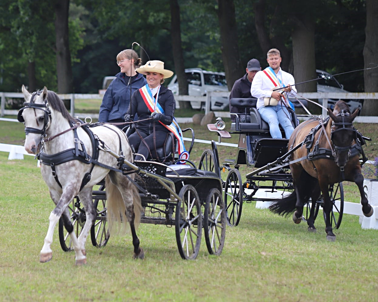 Die neuen Landesmeister im Einspännerfahren auf der Ehrenrunde. Vorn Paulin Marie Thiele mit Ben, dahinter Felix Dallmann mit Jaro.