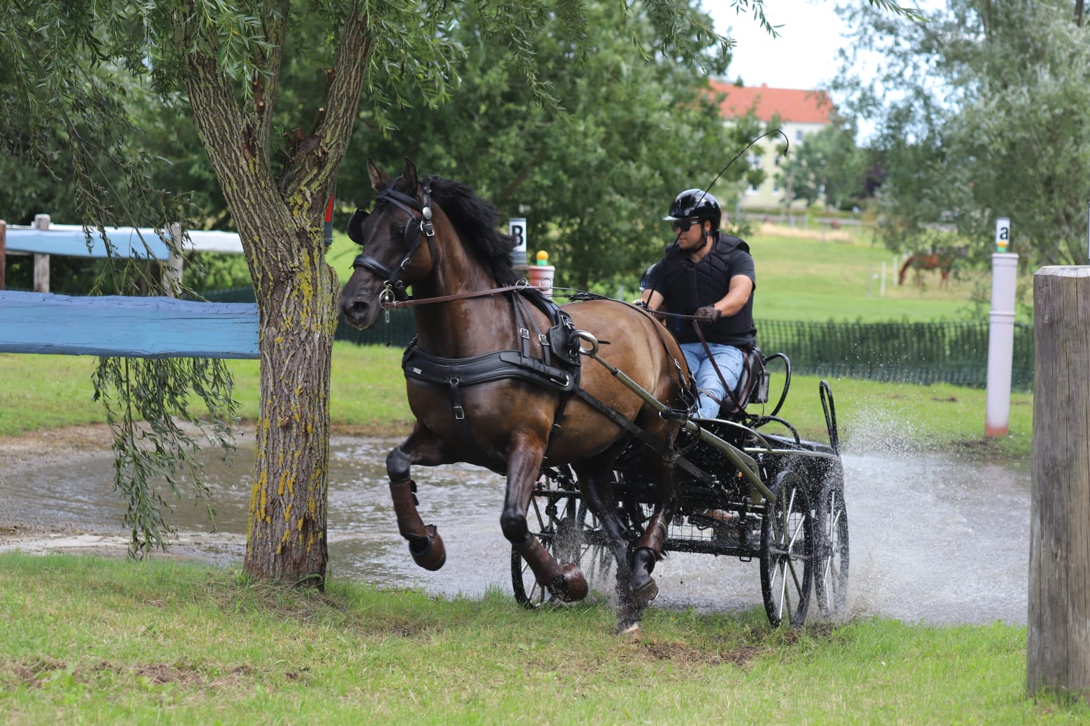 Auch Felix Dallmann hat mit Jaro die Wasserdurchfahrt problemlos gemeistert.
