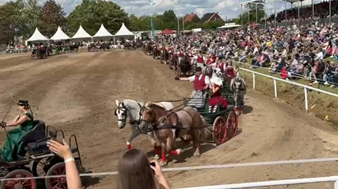 Die Quadrille.