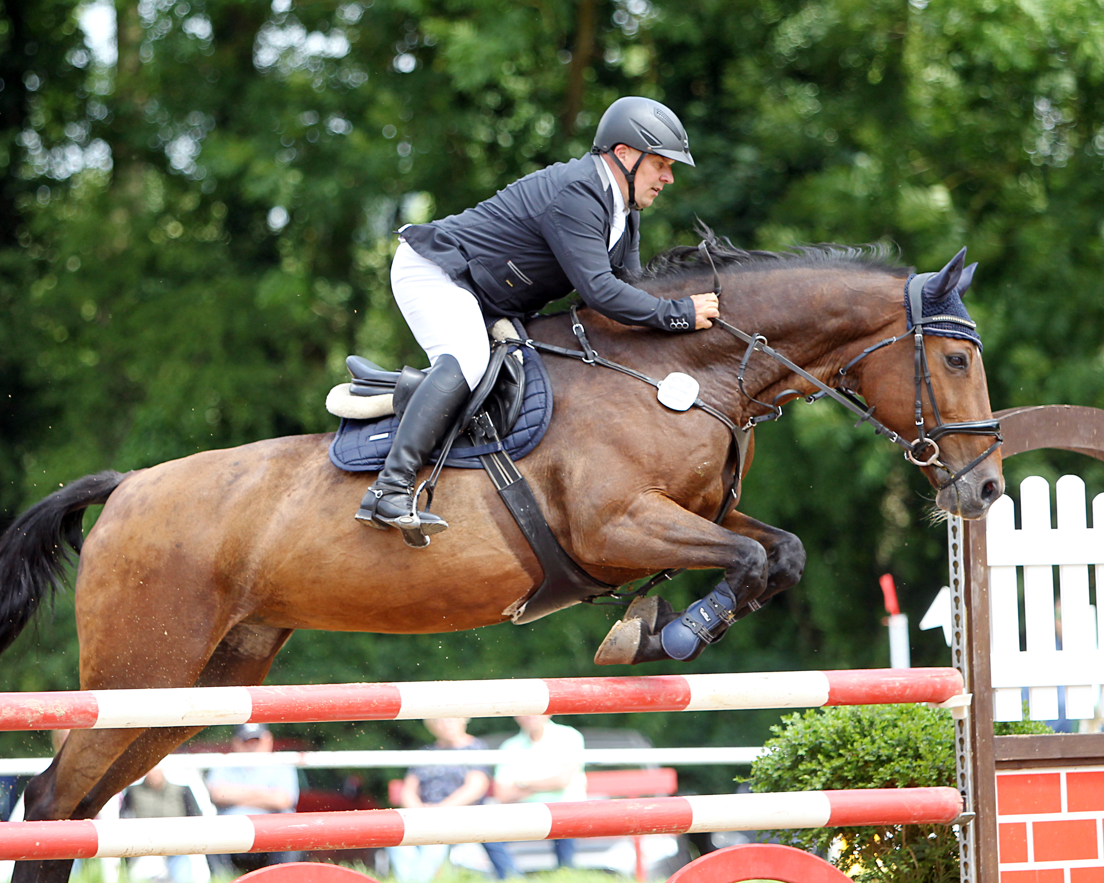Turnierleiter Enrico Finck kam auf Calimbo zu einem L-Sieg, gewann mit Cronau das Championat, wurde in den M-Springen am Sonntag Zweiter und erfolgreichster Reiter. © J.Wego