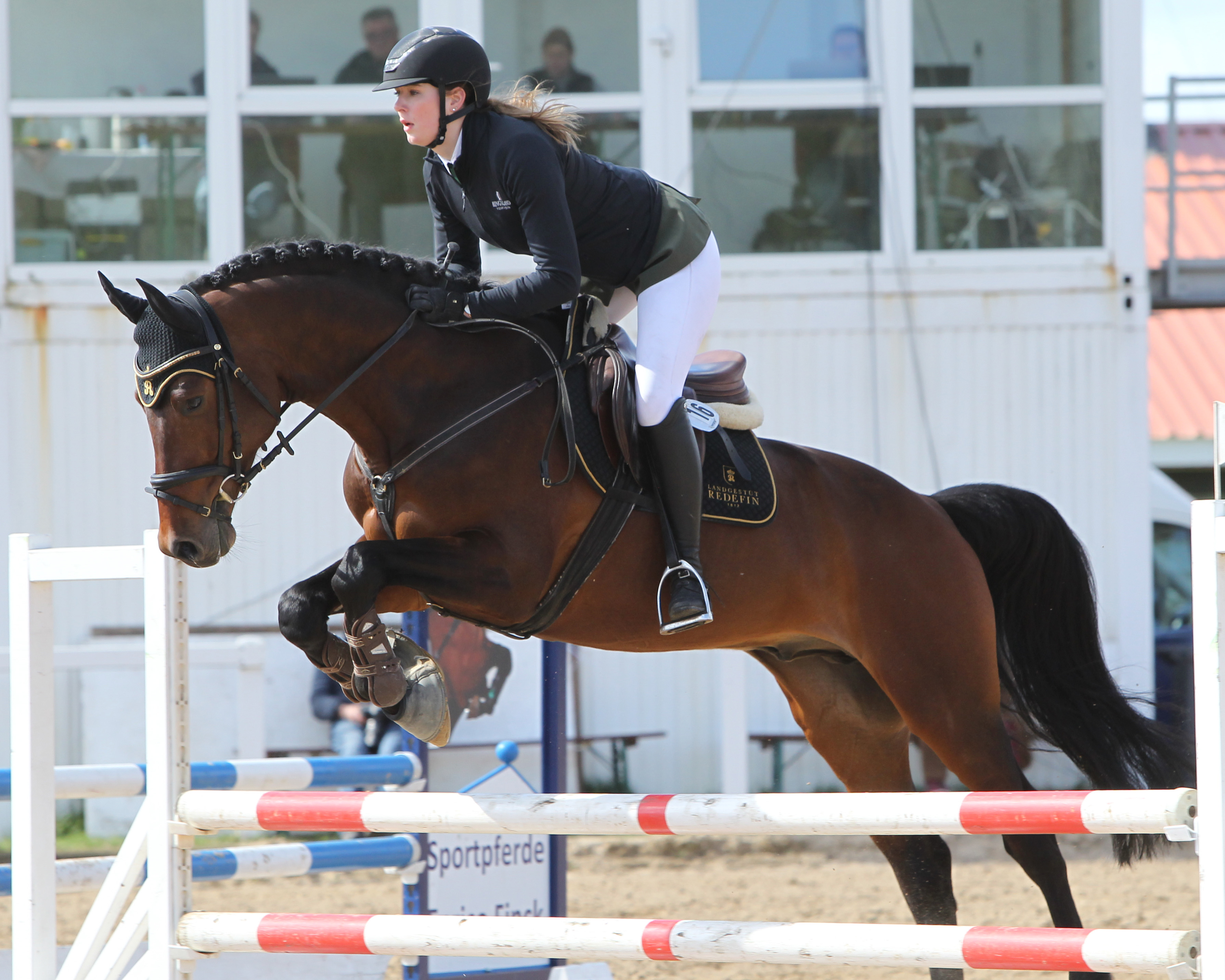 Champ Cruising (v. Canturano I x Cruising) 5-jähriger Spring-Champion mit Reka Sickelmann. © J.Wego