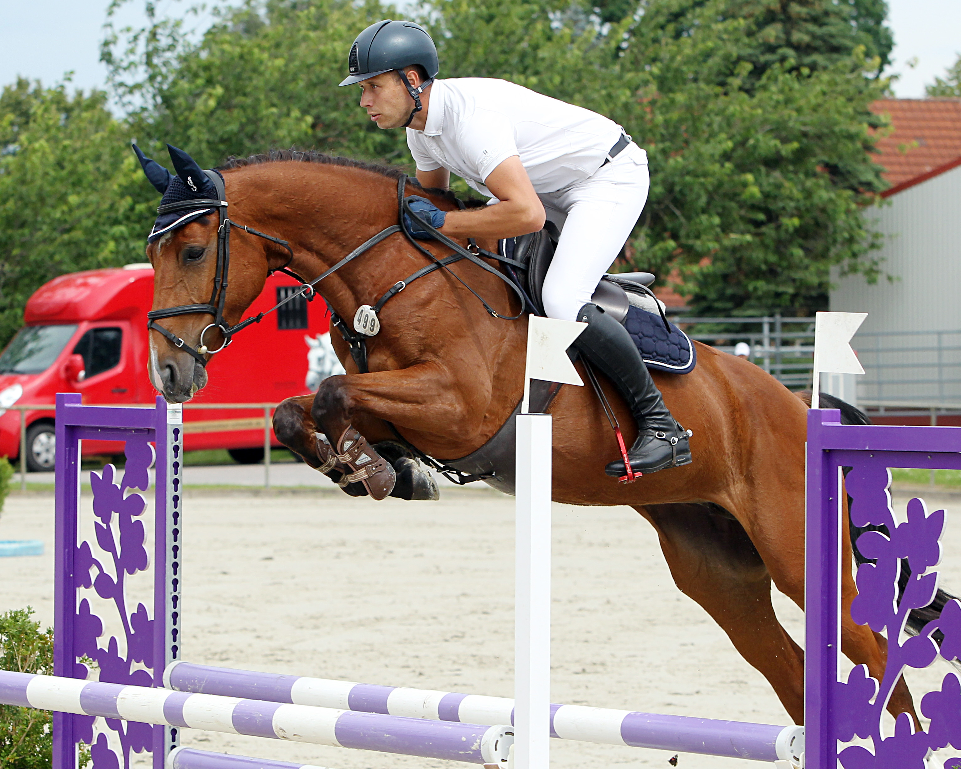 Haily (v. Highway x Chancenreich) 4-jährige Spring-Championess mit dem Polen Dawid Pasek. © J.Wego