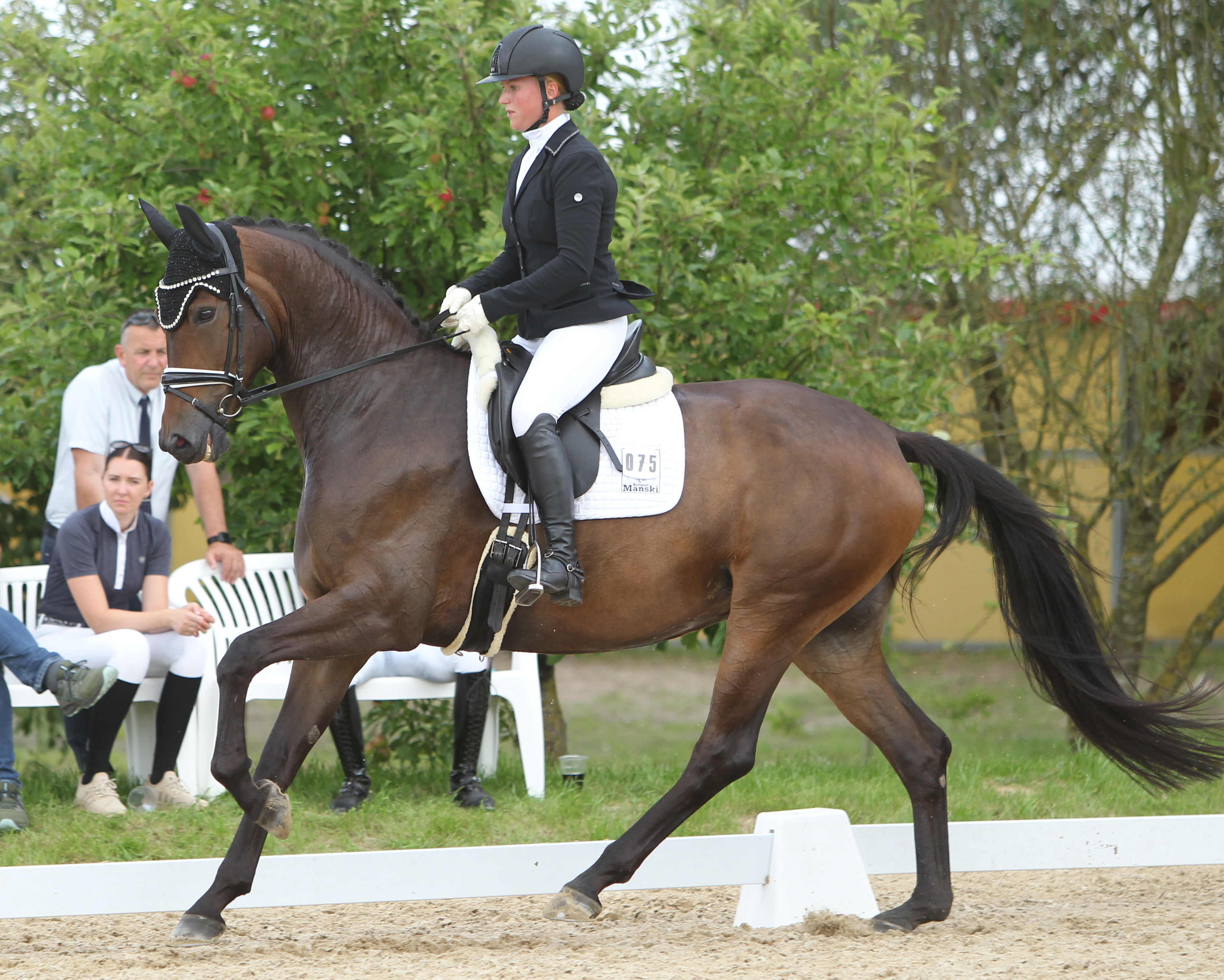 Inkognita (v. Inkognito x Faustinus) 5-jährige Dressur-Championess mit Ann-Christin Mehl. © J.Wego
