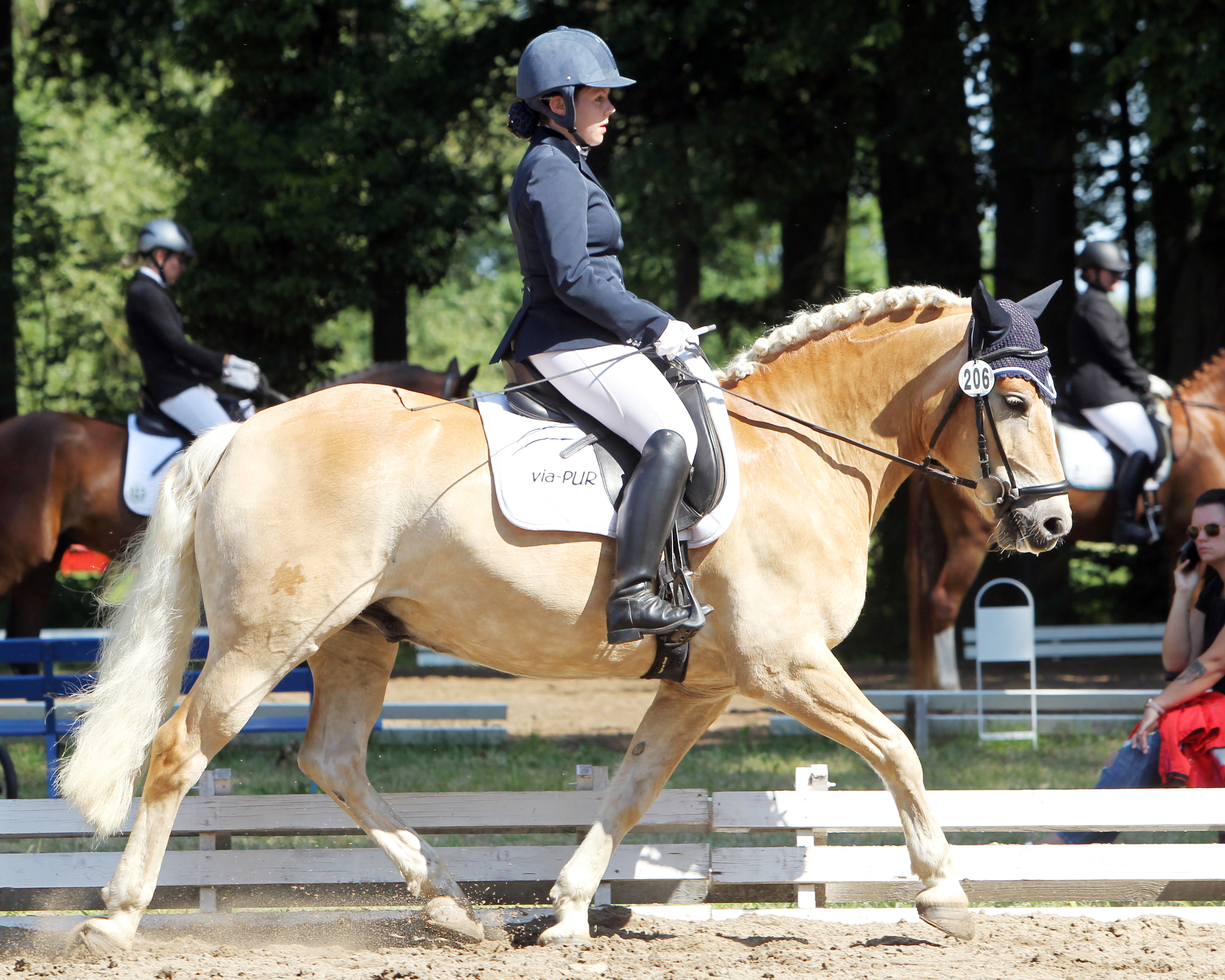 Mit dem 12-jährigen Haflinger Stratego gewann Michele Rosenberg (Feldberger Seenlandschaft) die E-Vielseitigkeit. © J.Wego