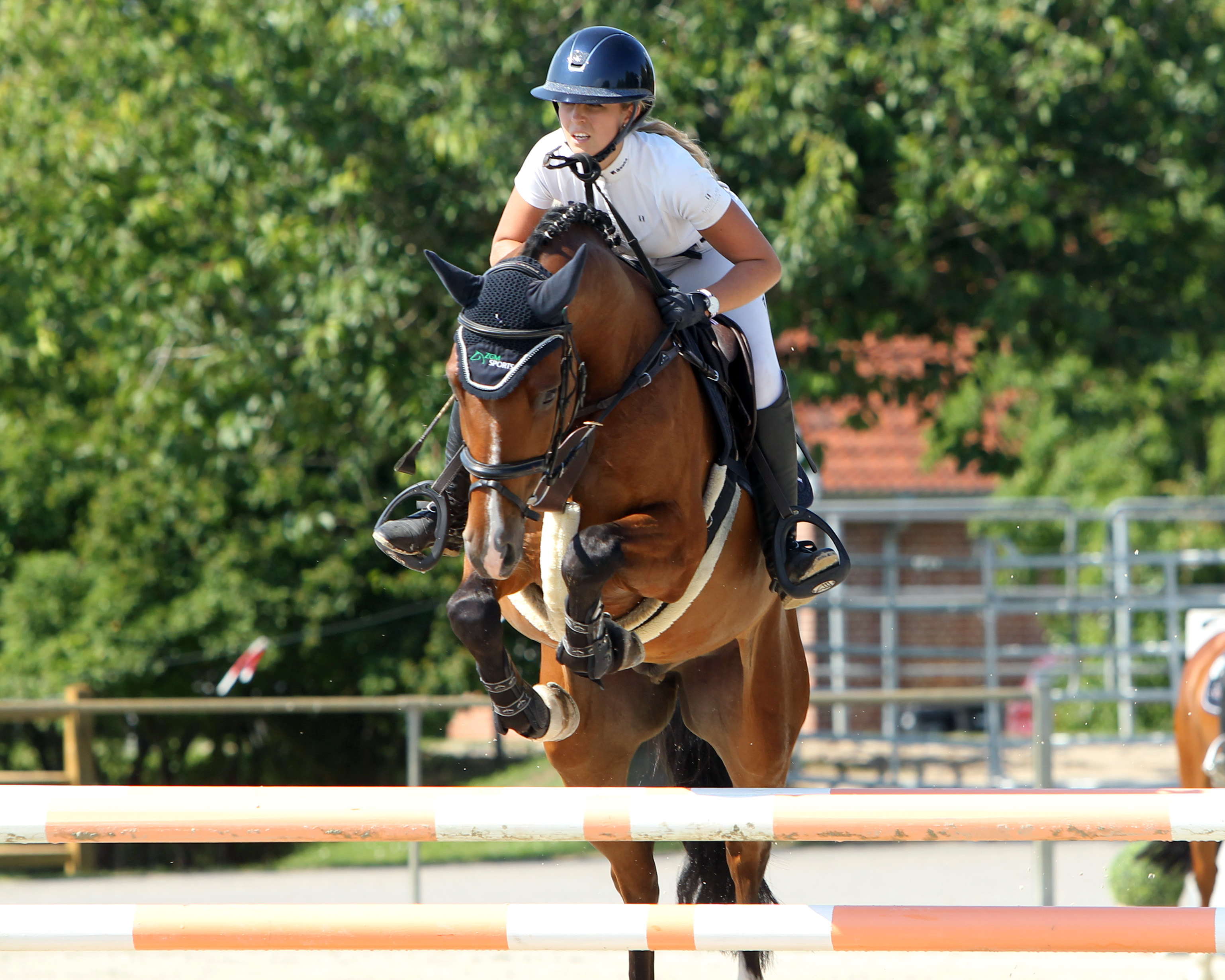 Landesmeisterin Christin Wascher hat in Valluhn mit Calandro das Youngster-Springen Klasse M gewonnen. © J.Wego