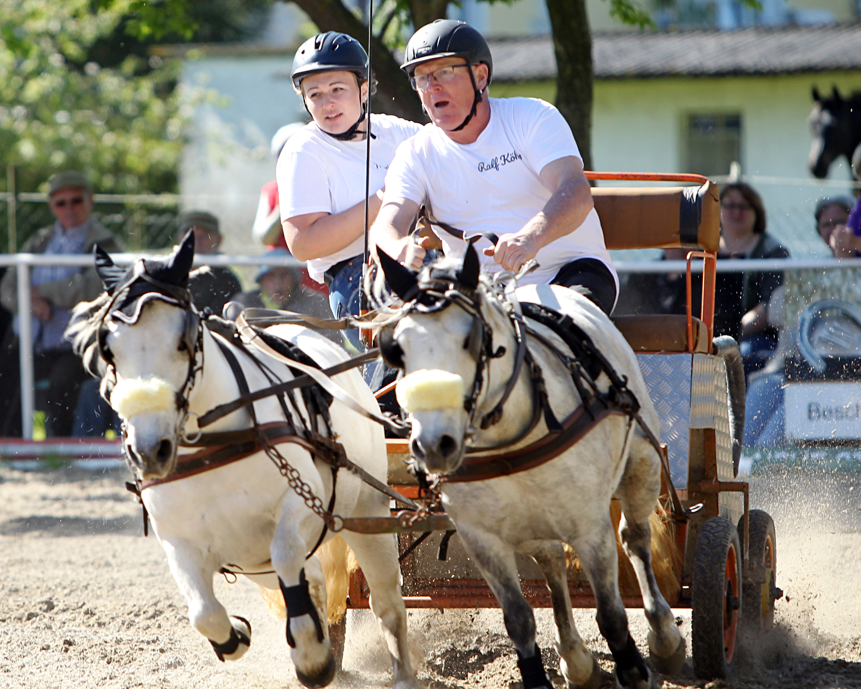 Keiner ist so schnell wie Ralf Köhn aus Garz. Trotz Regen hat er mit Inge & Sabrina auch das Hindernisfahren in Prohn gewonnen. © J.Wego