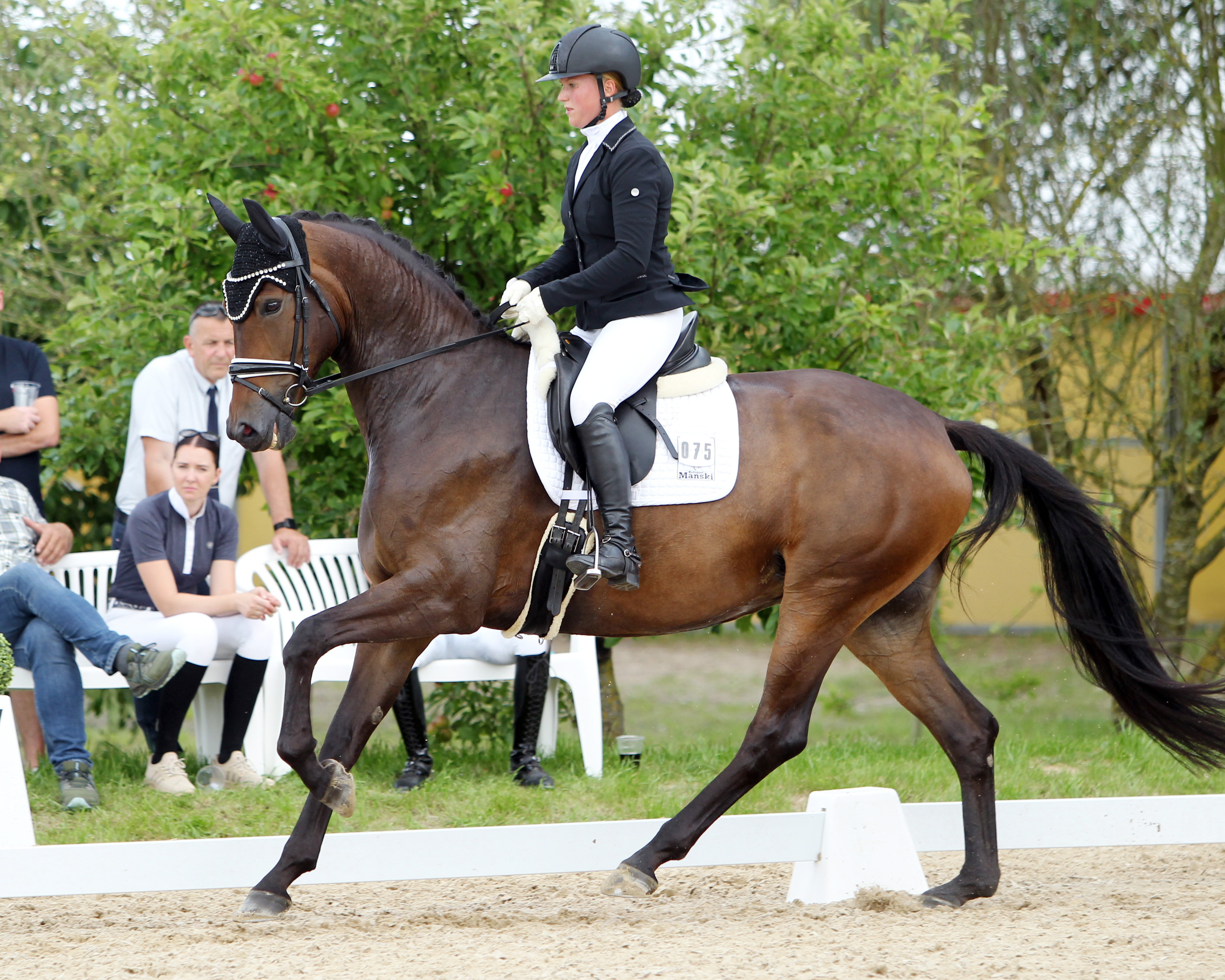 Ann-Christin Mehl (Zingst) gewann beide Dressurpferdeprüfungen. In Klasse L siegte sie mit Incognita (Foto), in Klasse A mit Royal Romantico K. © J.Wego