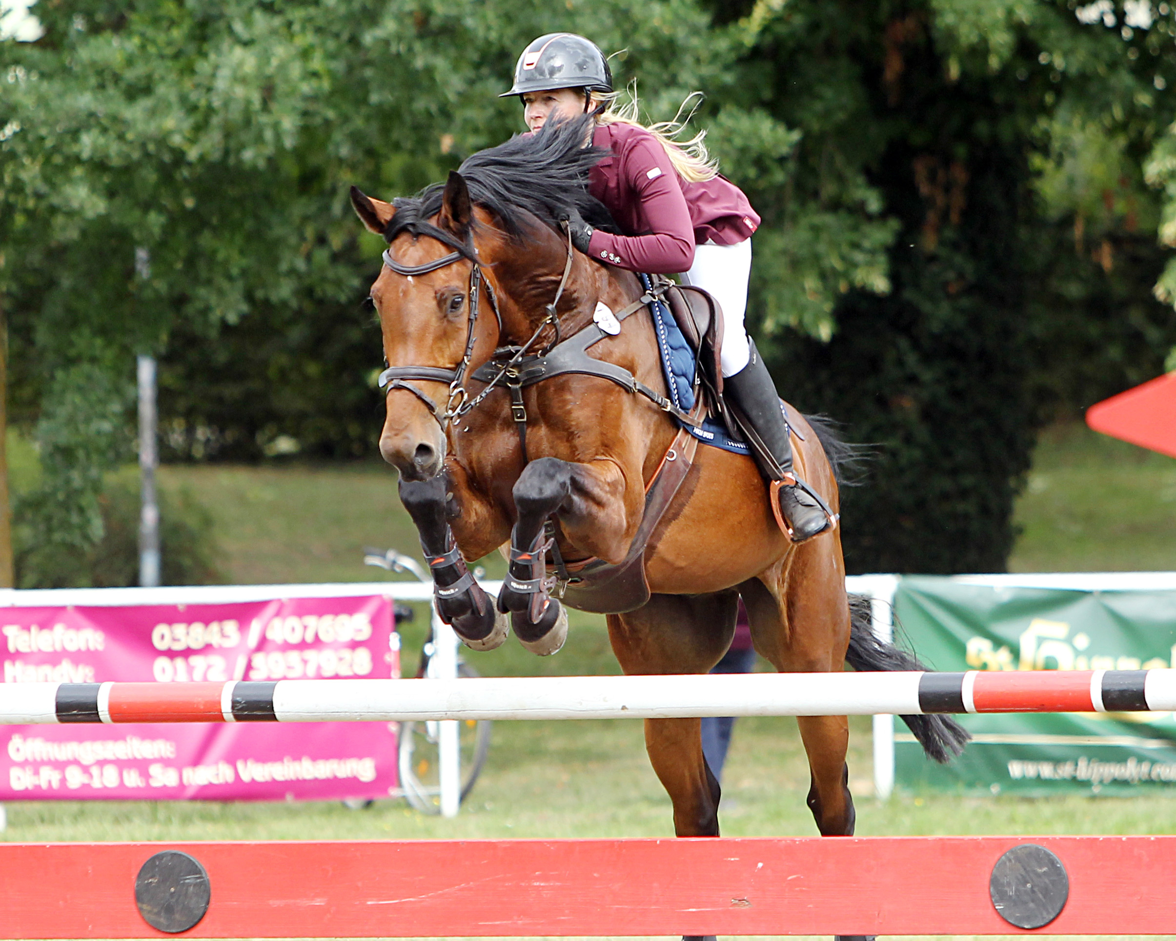 Siegerin des M1* Punktespringens am Samstag wurde Juliane Weihs (Grevesmühlen) mit Hell Boy van de Zuuthoeve Z. © J.Wego