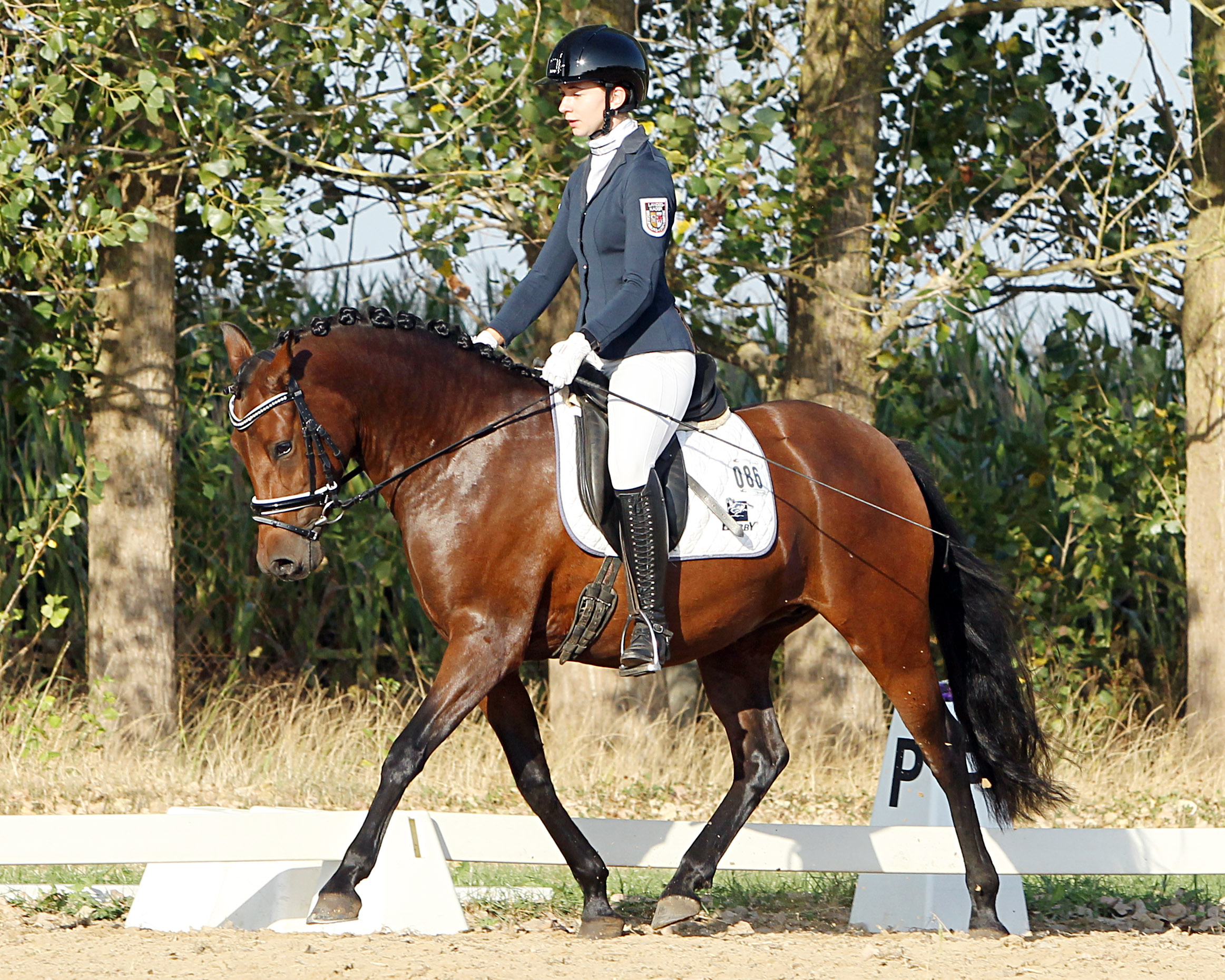 Nanu-Nana CR (v. Nancho’s Golden Star x FS Dior de Luxe) - Landeschampion der 3-jährigen Reitponys mit Züchter und Besitzerin Carolina Romanowski im Sattel. © J.Wego