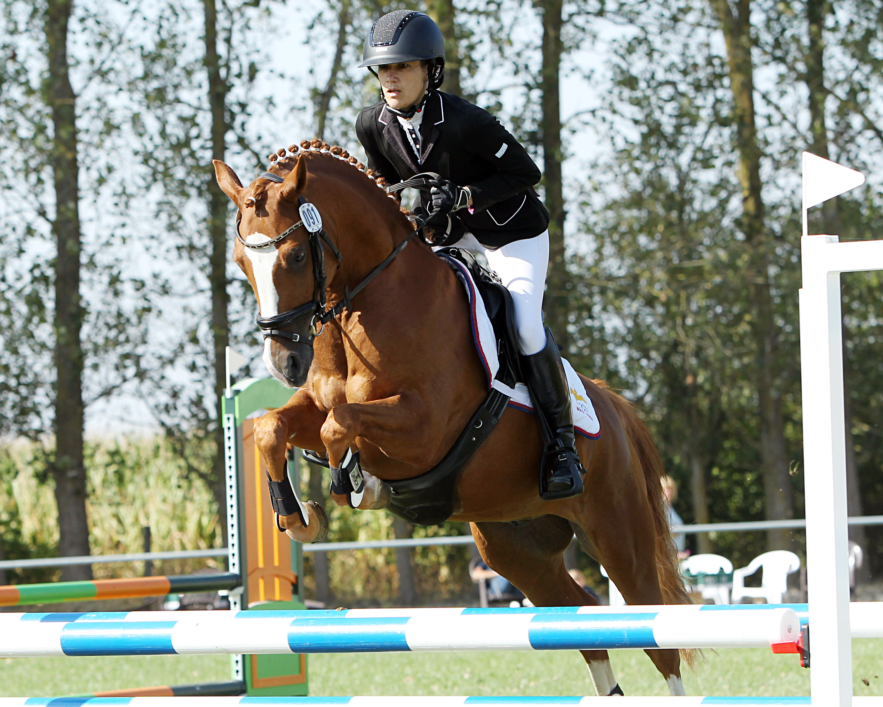 Norbit (v. Nusseis vM x Wengelo’s Nelson) 6-jähriger Wallach - Landeschampion der Springponys mit Züchterin Manuela Granzow im Sattel. © J.Wego