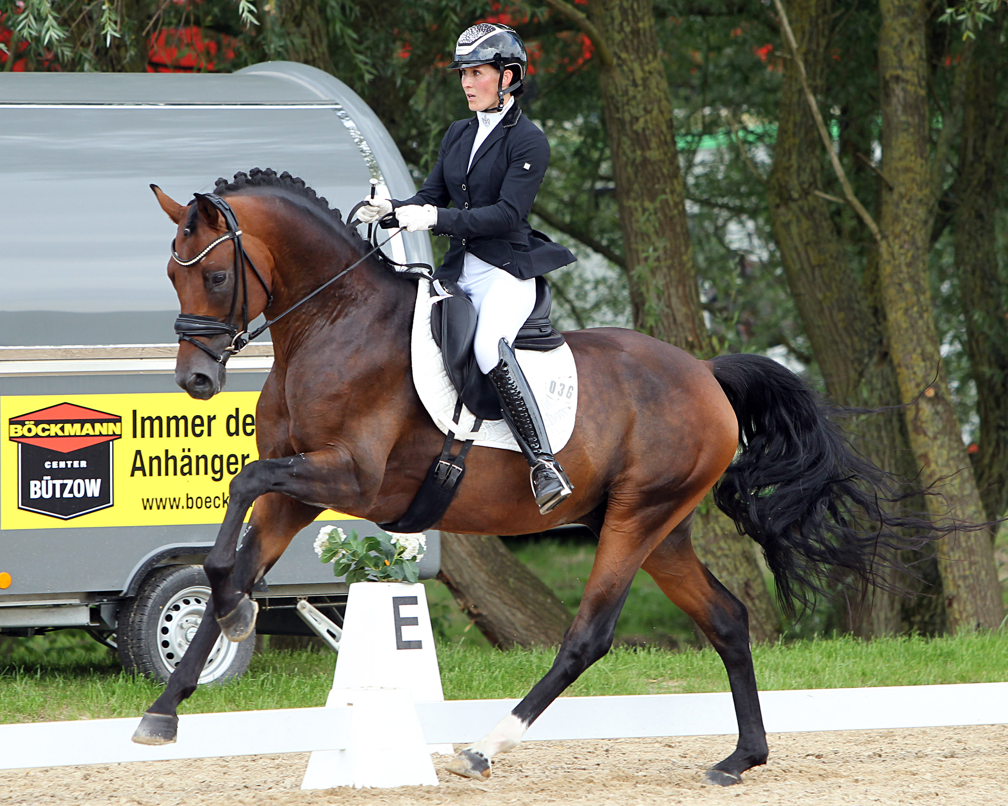 Libuse Mencke stellte in Warendorf den 5-jährigen Ganschower Hengst Donaudiamant vor, der in der Finalqualifikation 7,66 und im Kleinen Finale 7,86 erhielt. © J.Wego